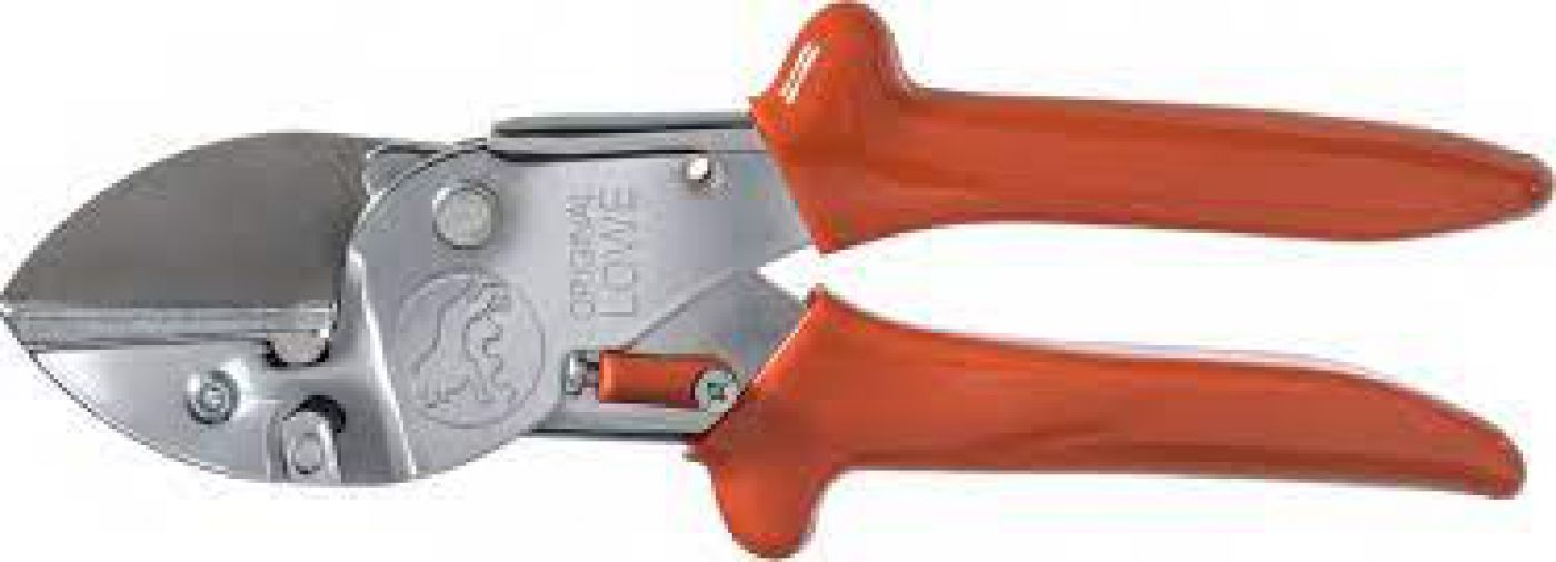 Φωτογραφία