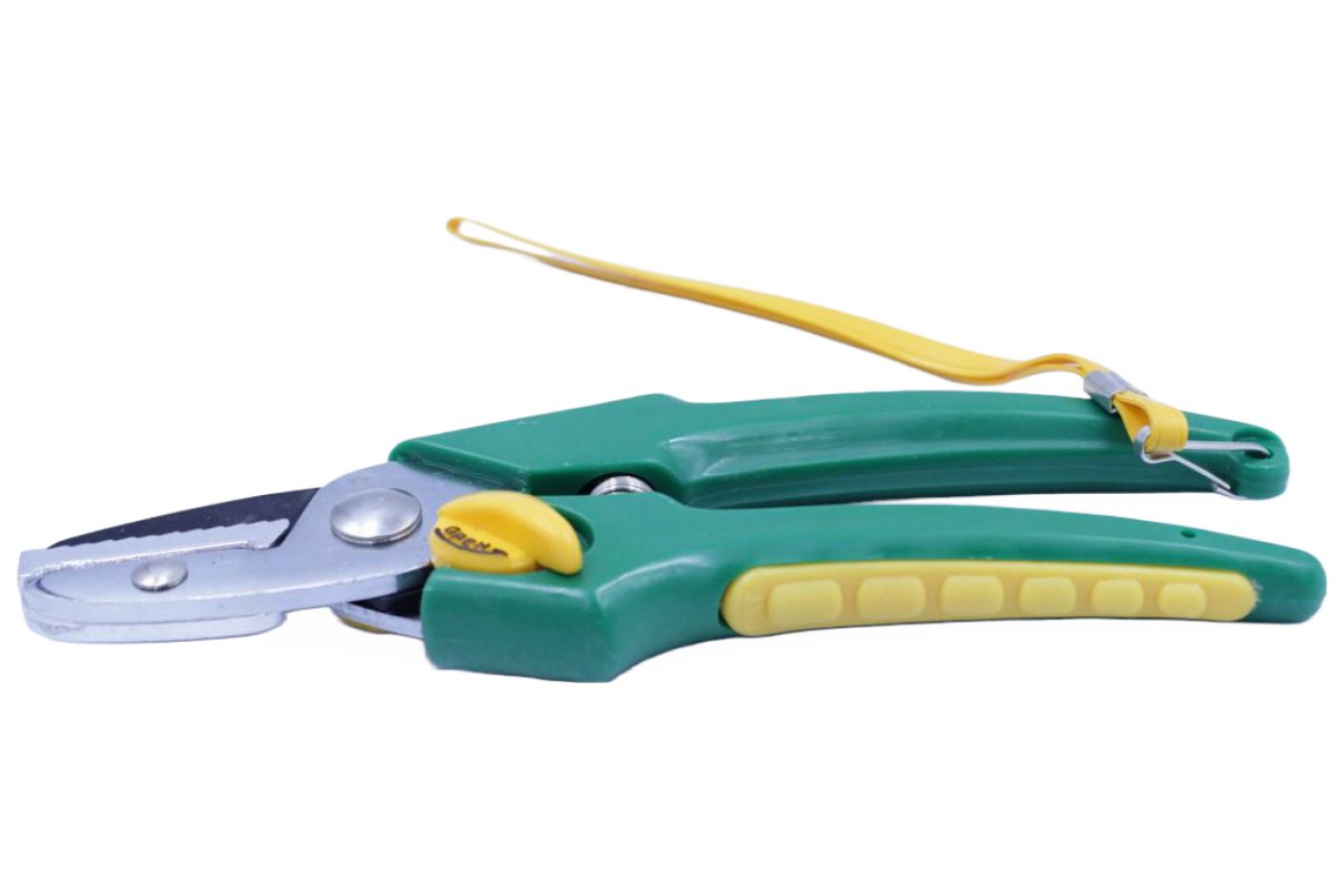 Φωτογραφία