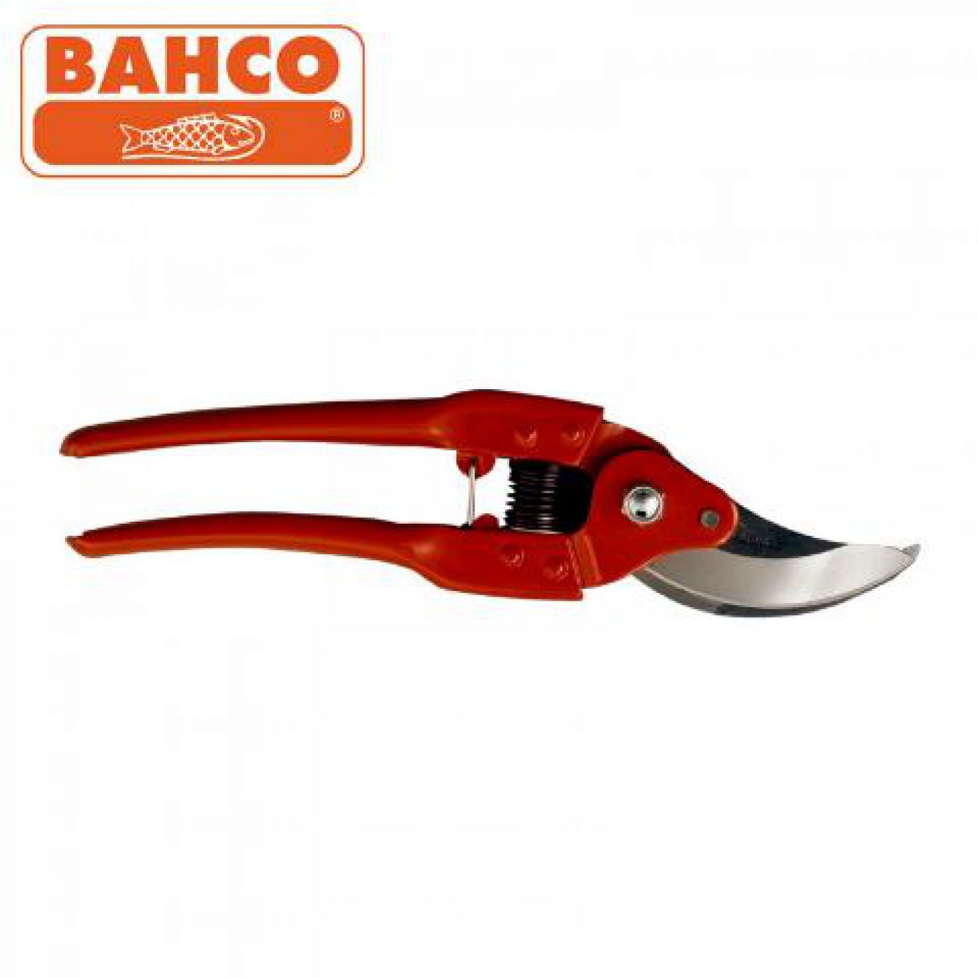 Φωτογραφία