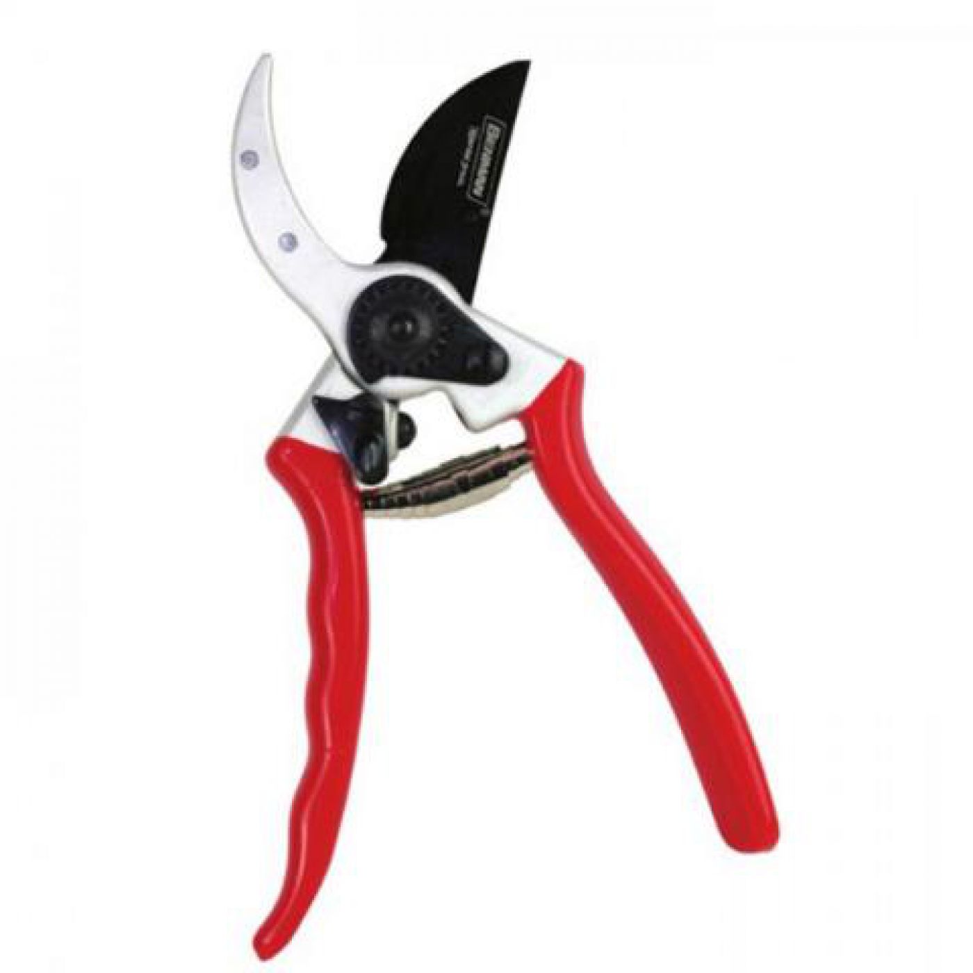 Φωτογραφία