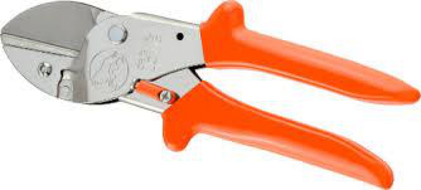 Φωτογραφία