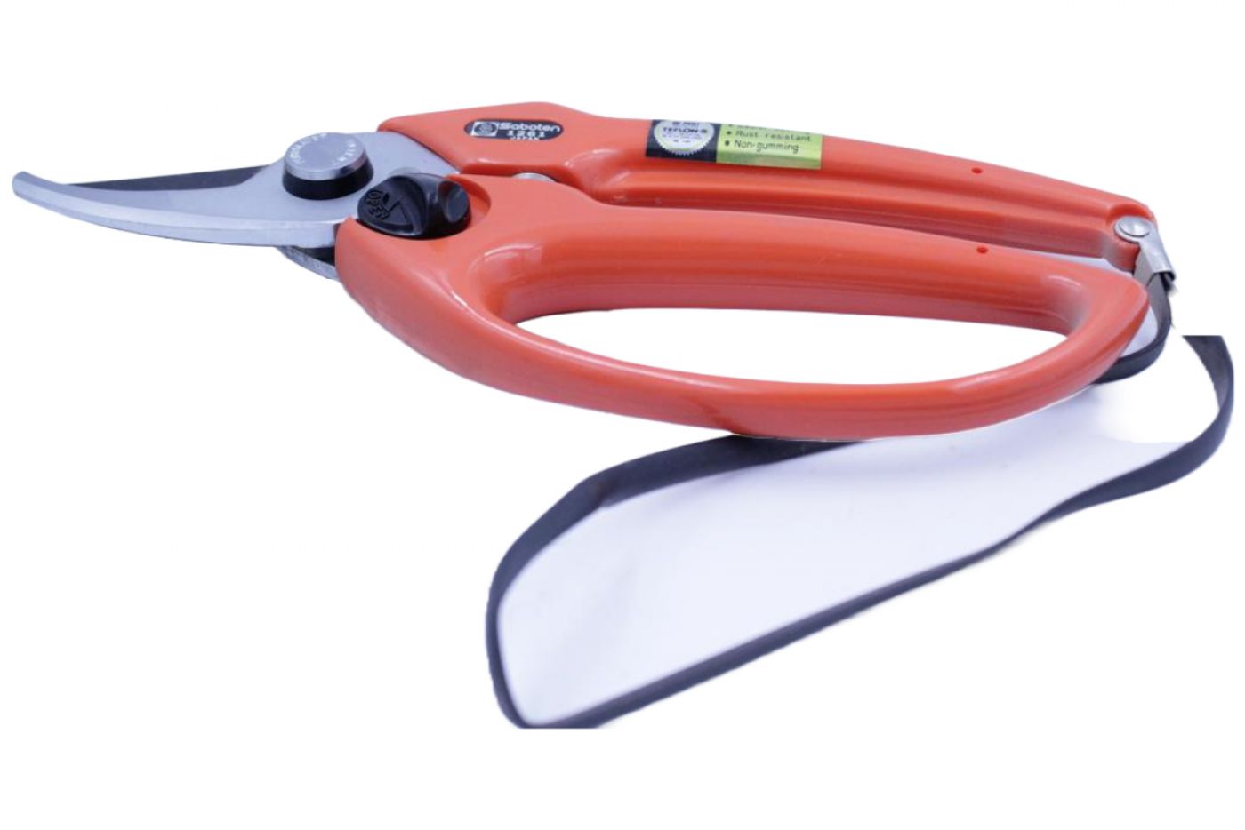 Φωτογραφία