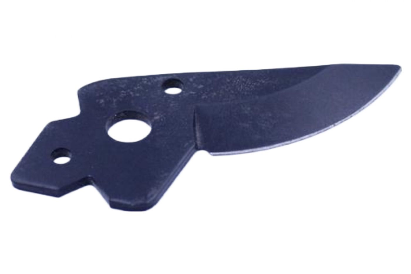 Φωτογραφία