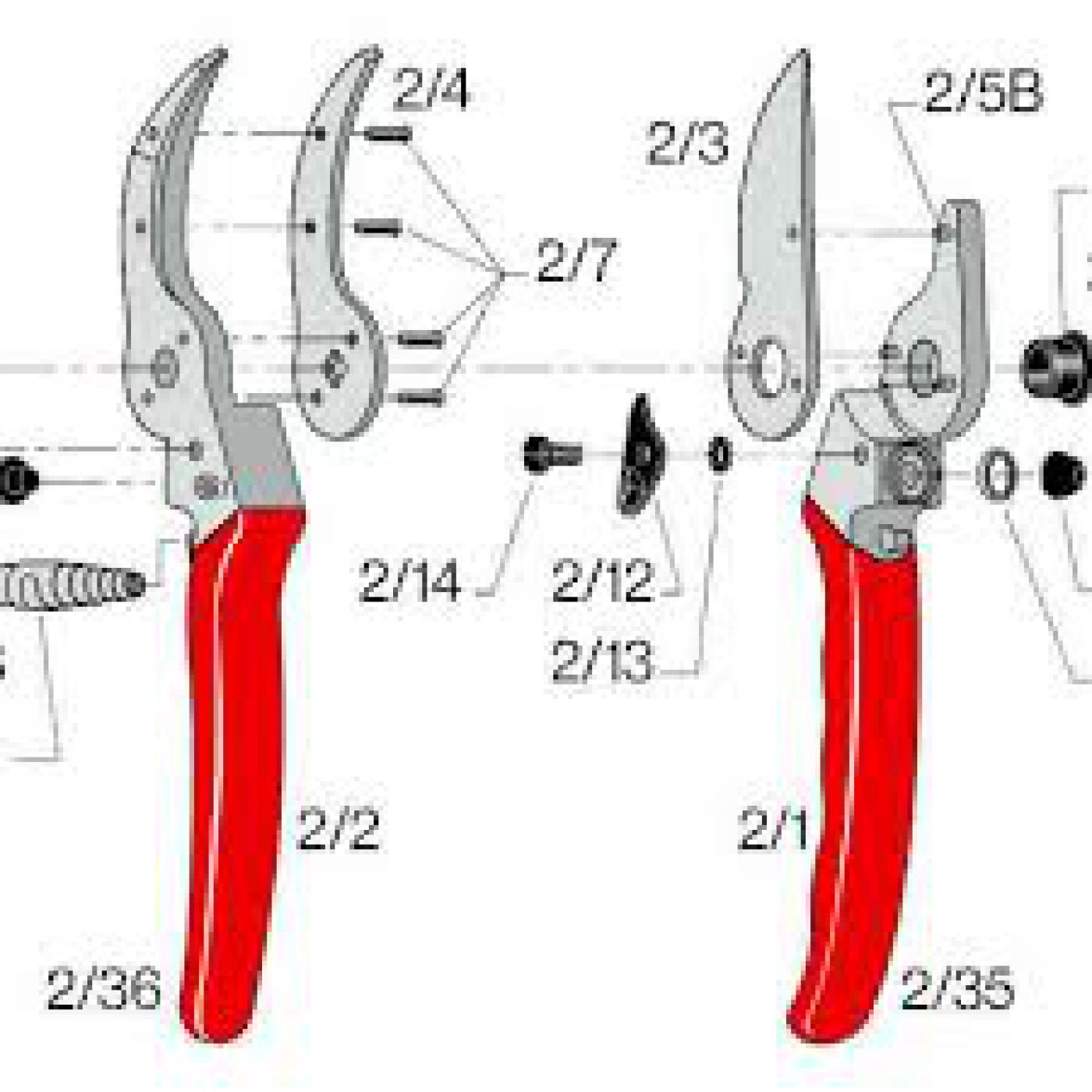 Φωτογραφία