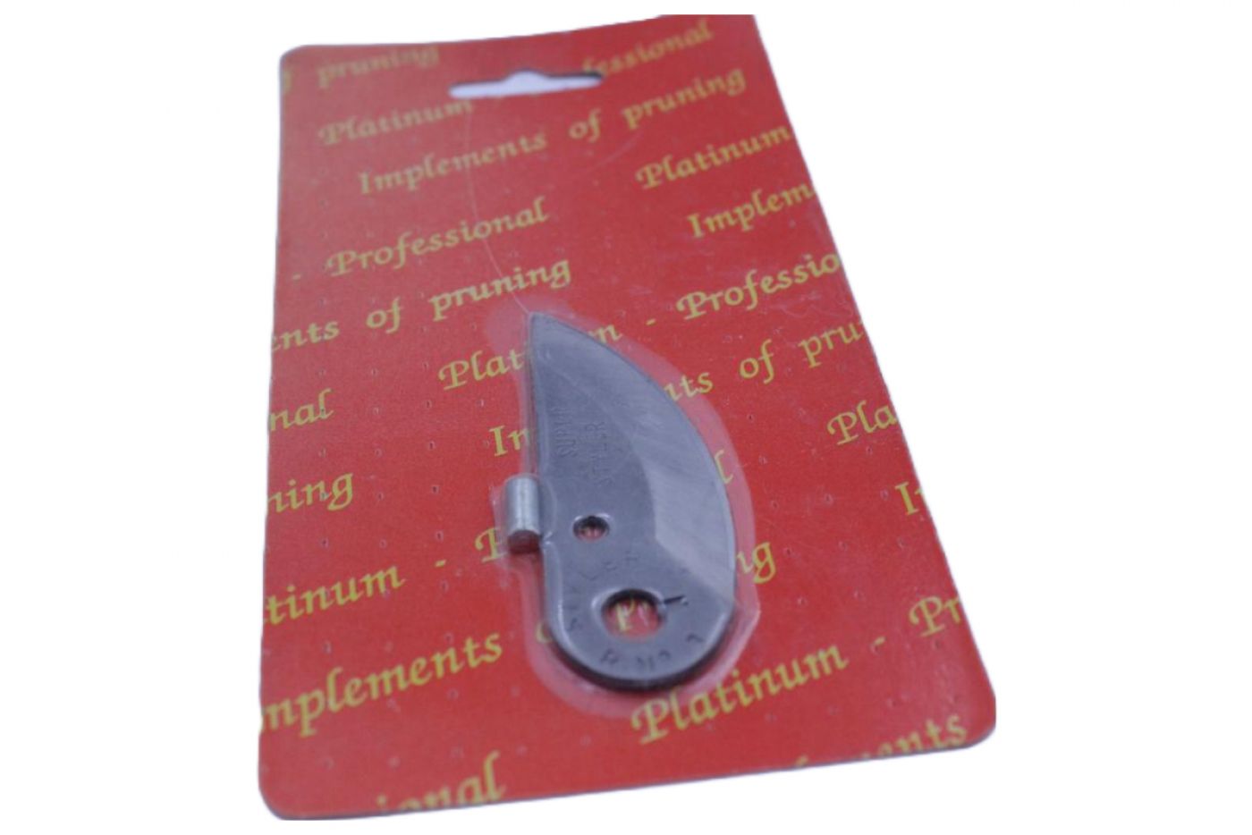 Φωτογραφία