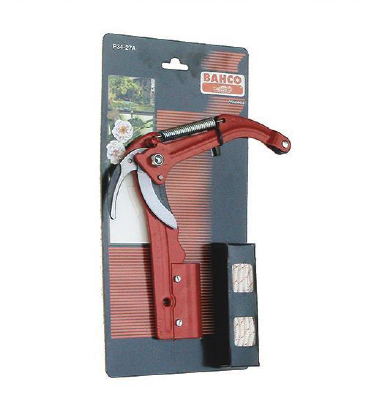 Φωτογραφία