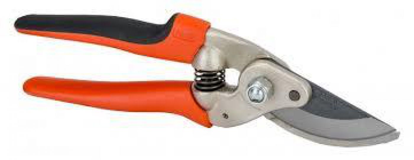 Φωτογραφία