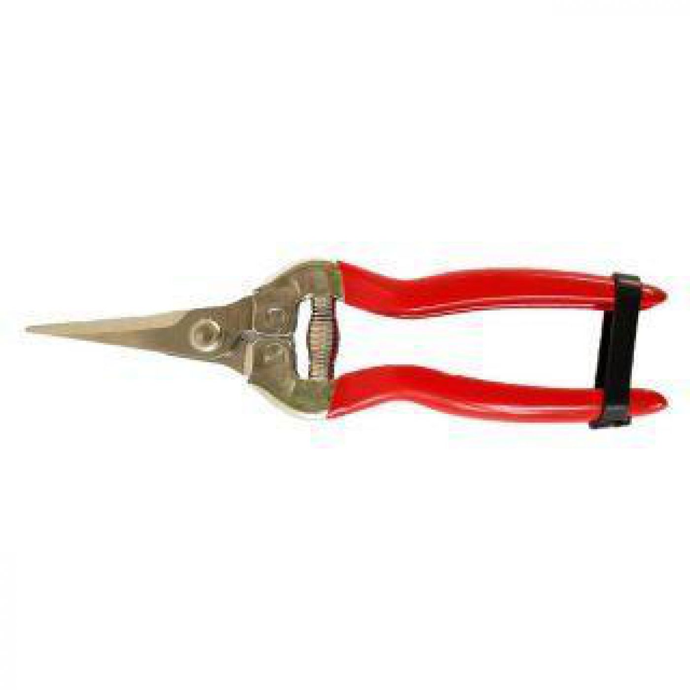 Φωτογραφία