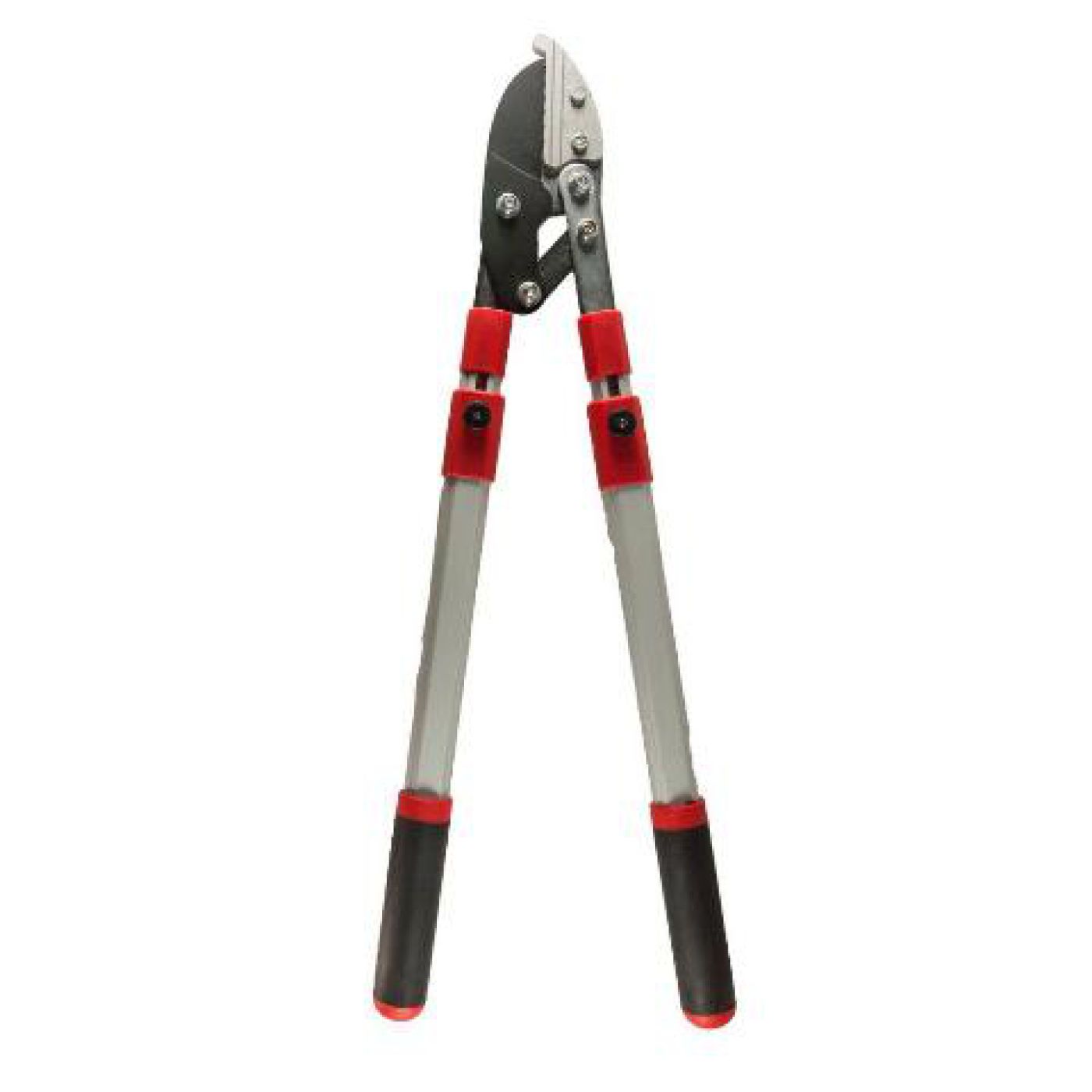 Φωτογραφία