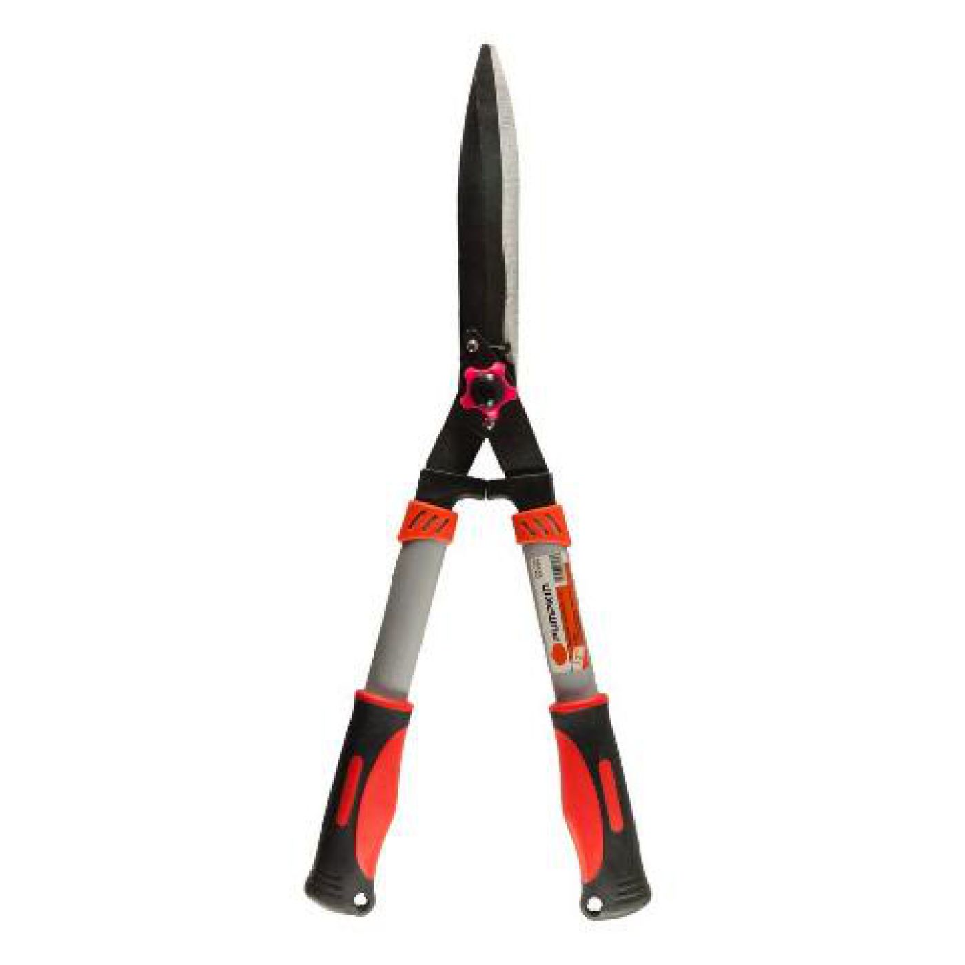 Φωτογραφία