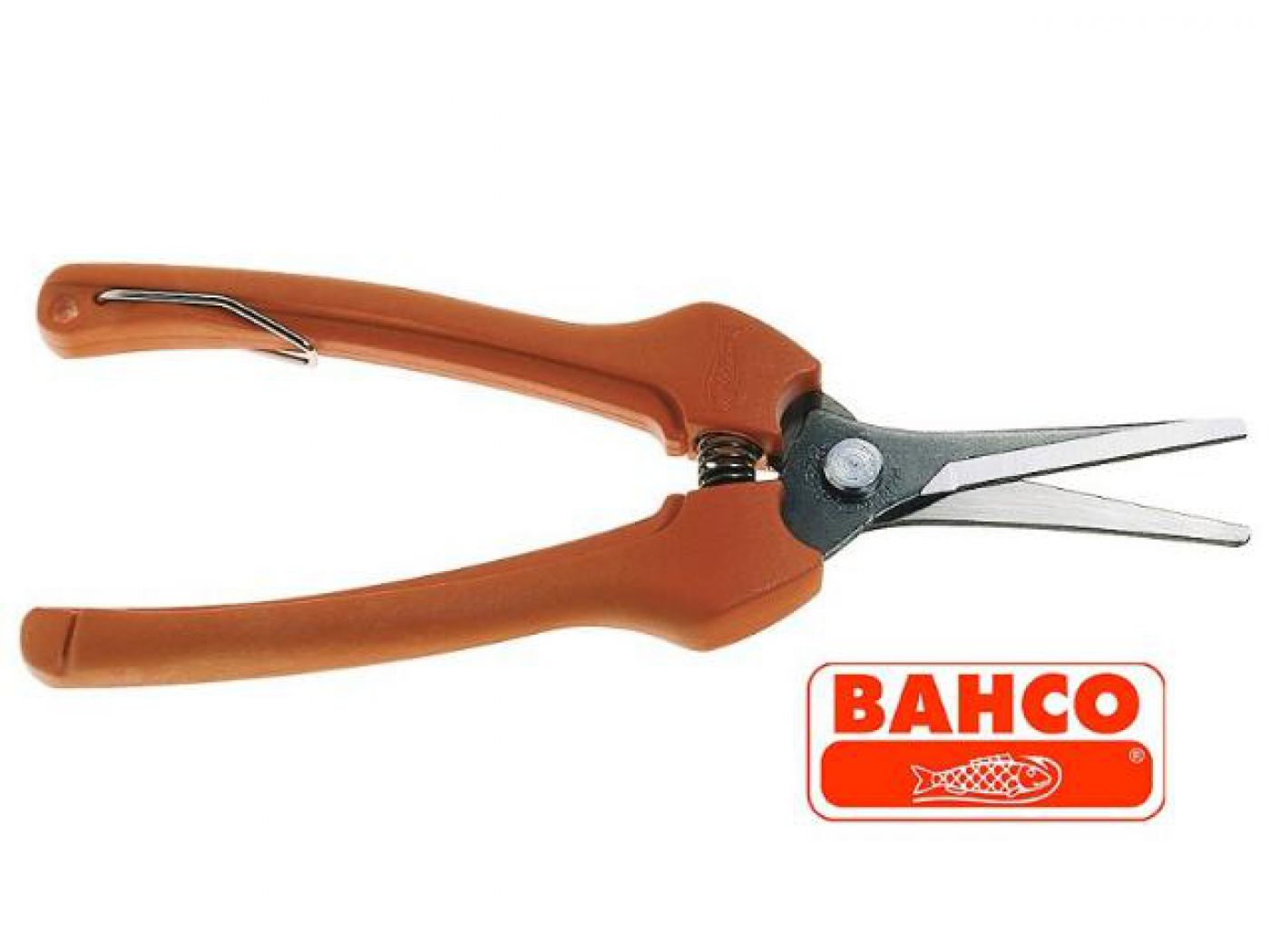 Φωτογραφία