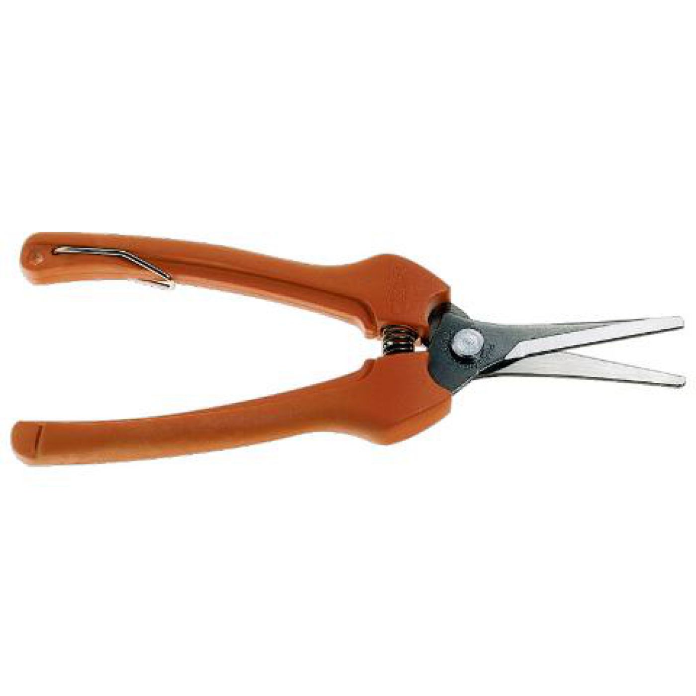 Φωτογραφία