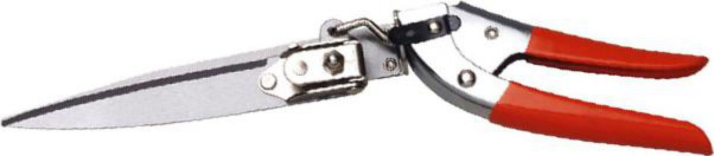 Φωτογραφία