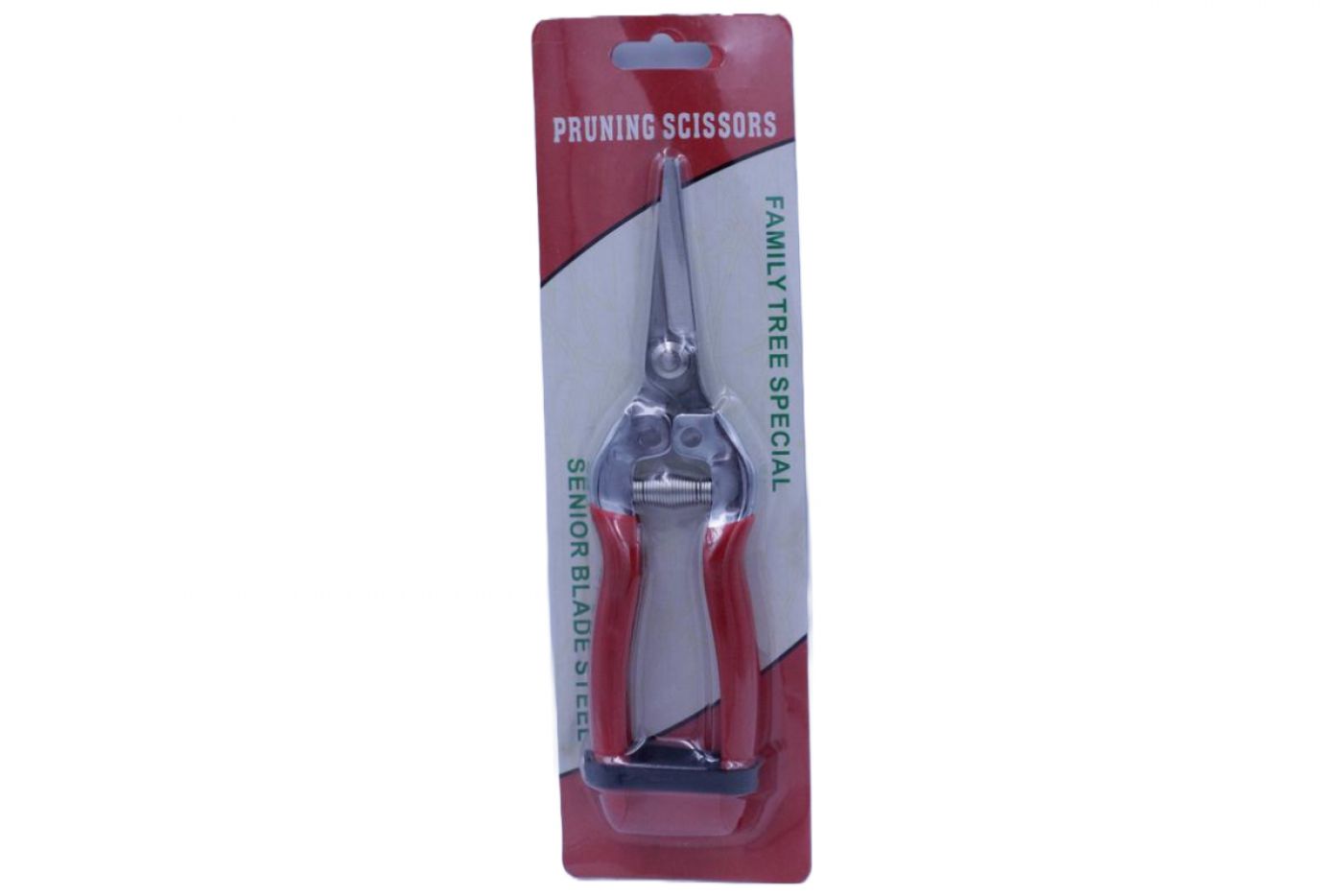 Φωτογραφία