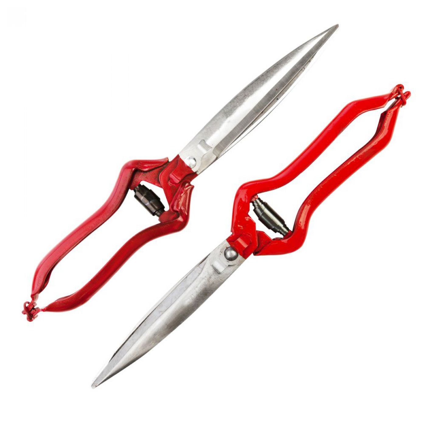 Φωτογραφία