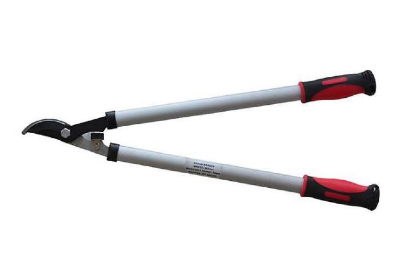 Φωτογραφία