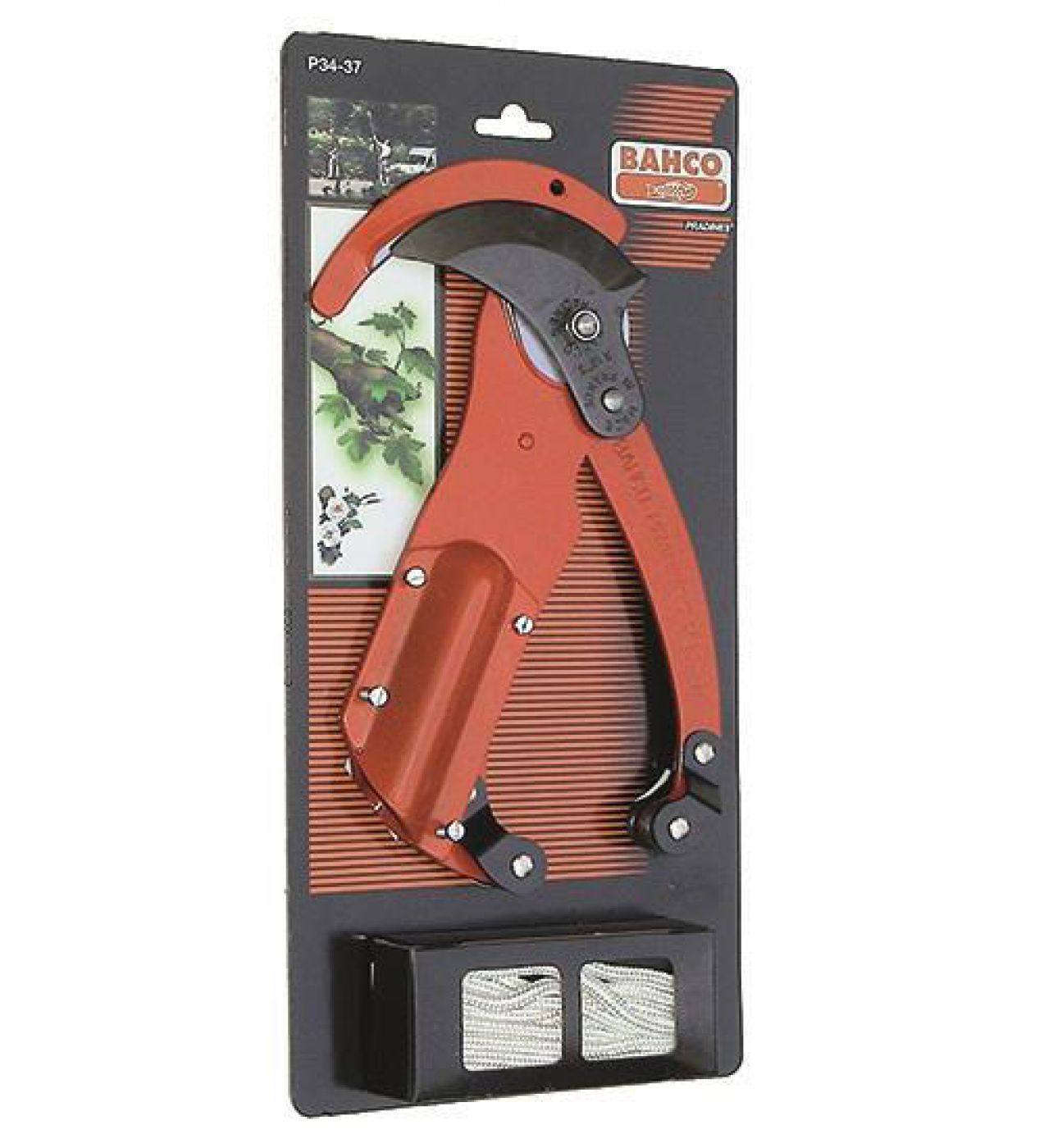 Φωτογραφία