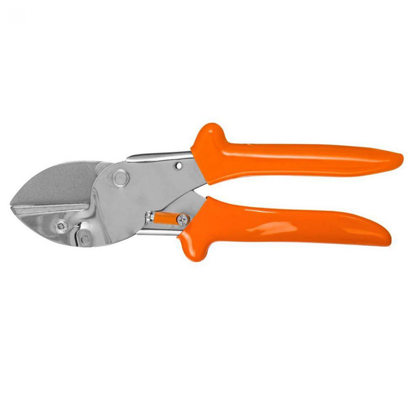 Φωτογραφία