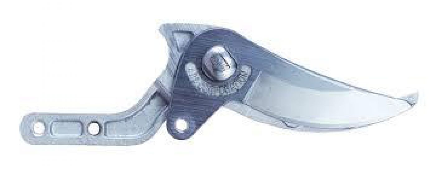 Φωτογραφία