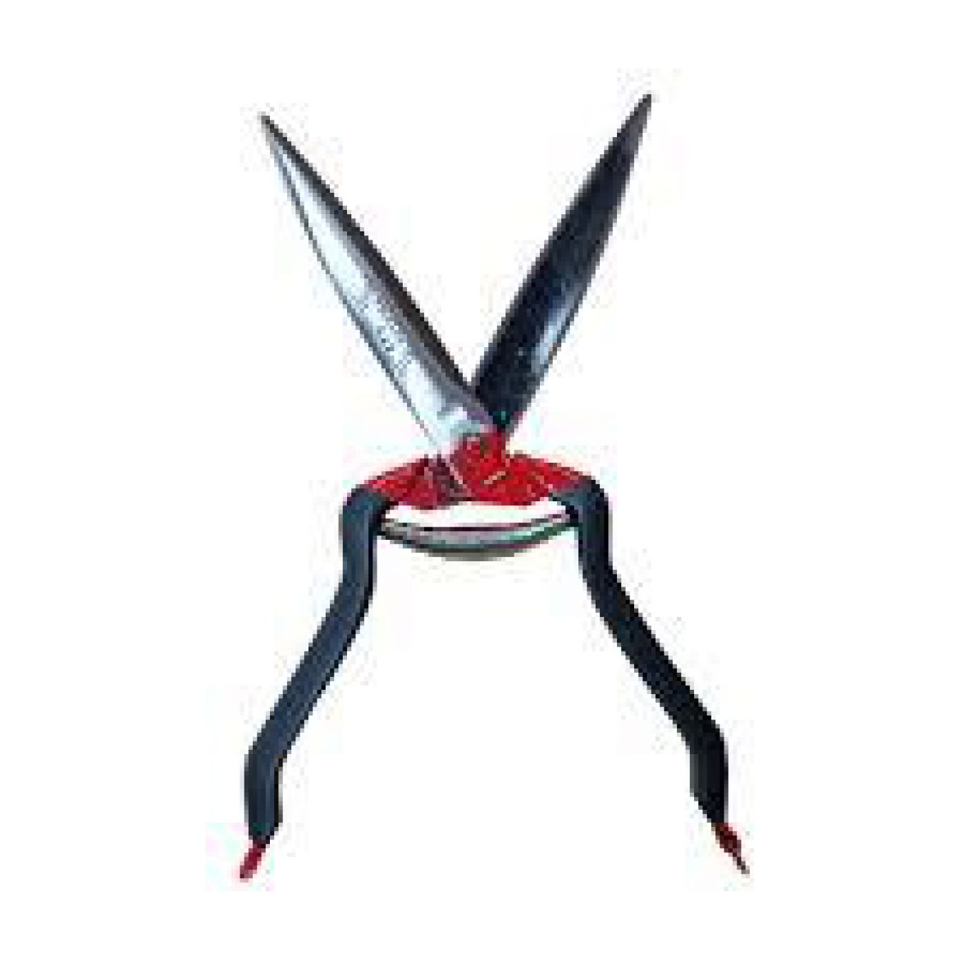 Φωτογραφία