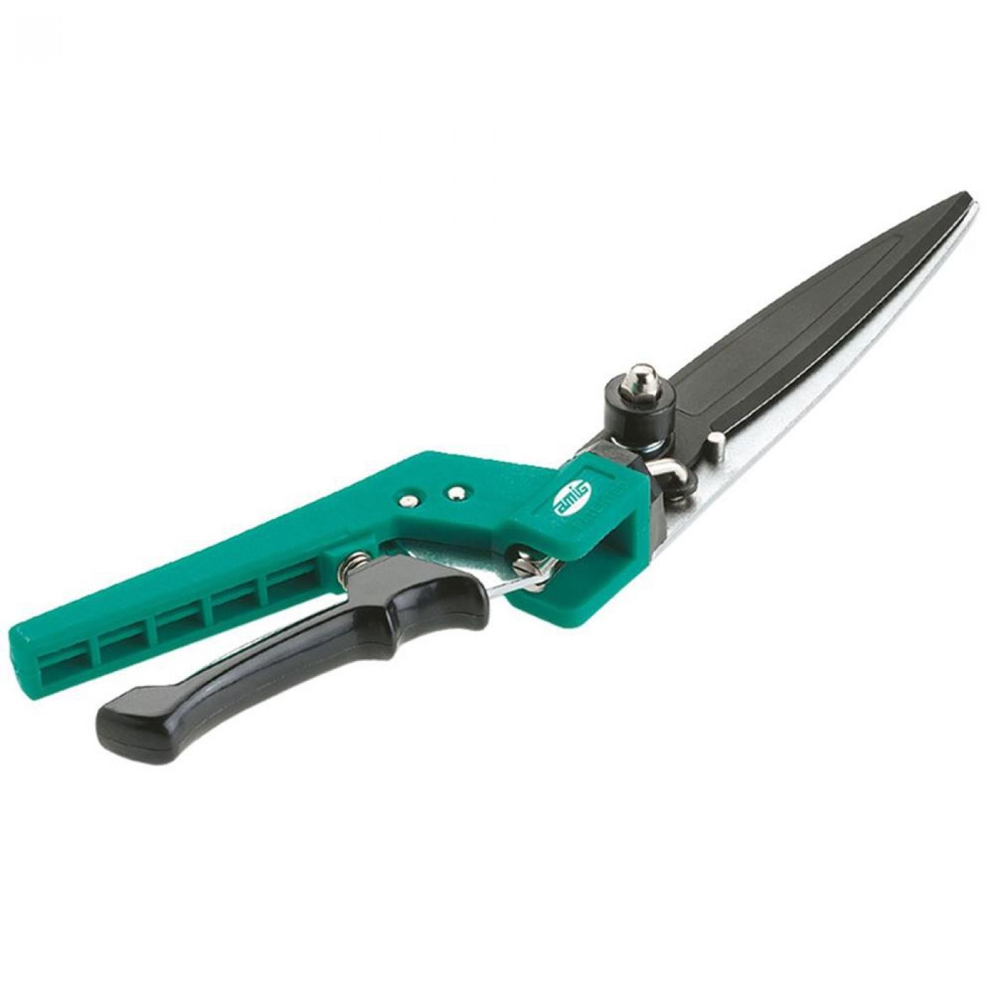 Φωτογραφία