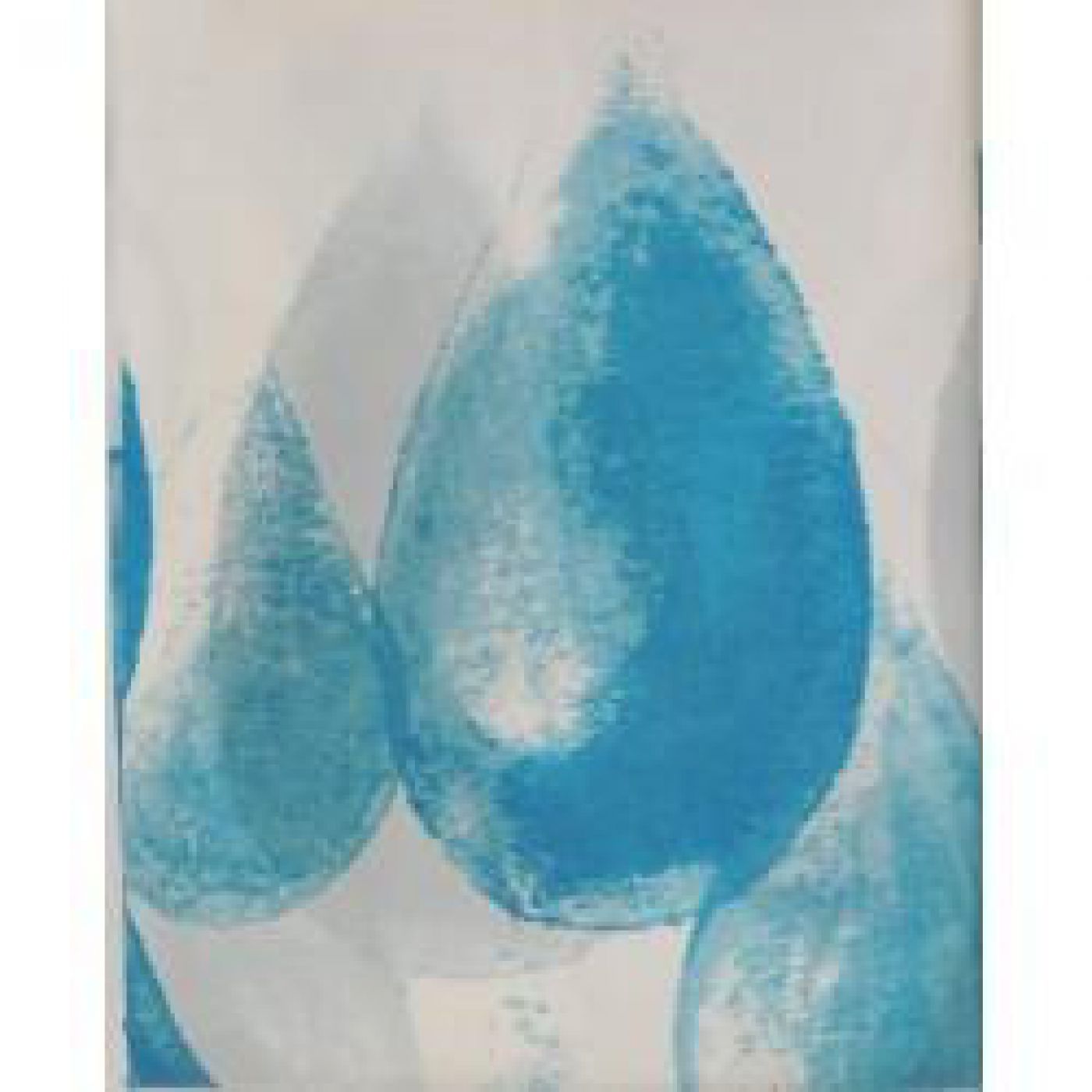 Φωτογραφία