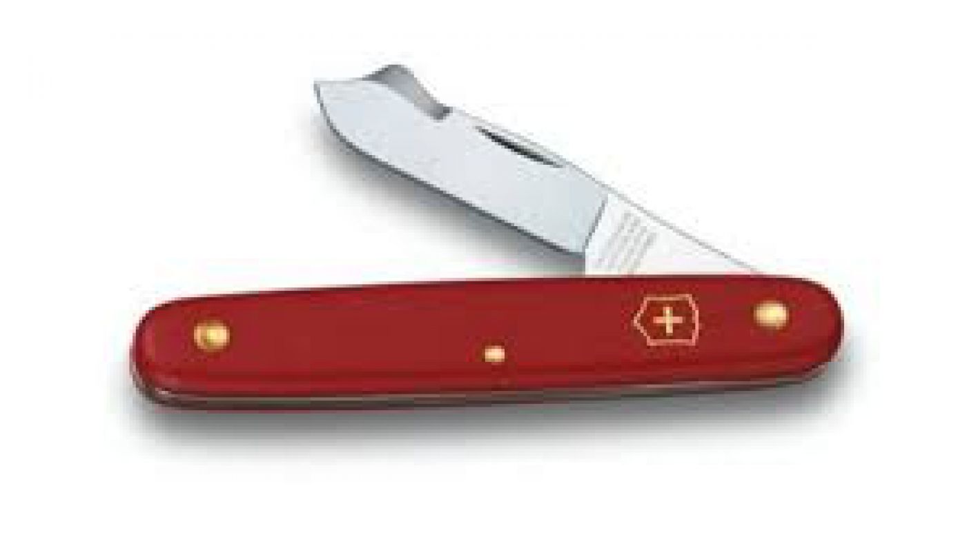 Φωτογραφία