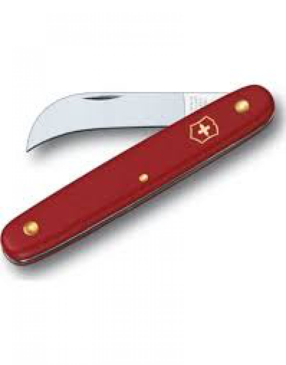 Φωτογραφία