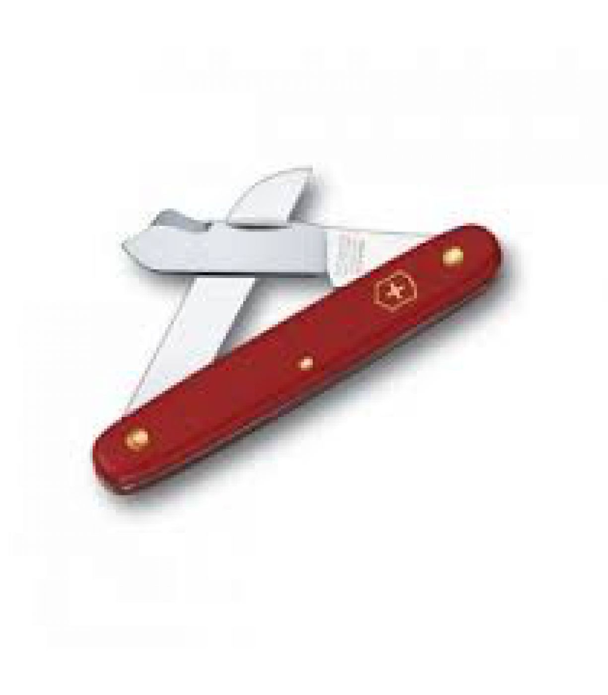 Φωτογραφία