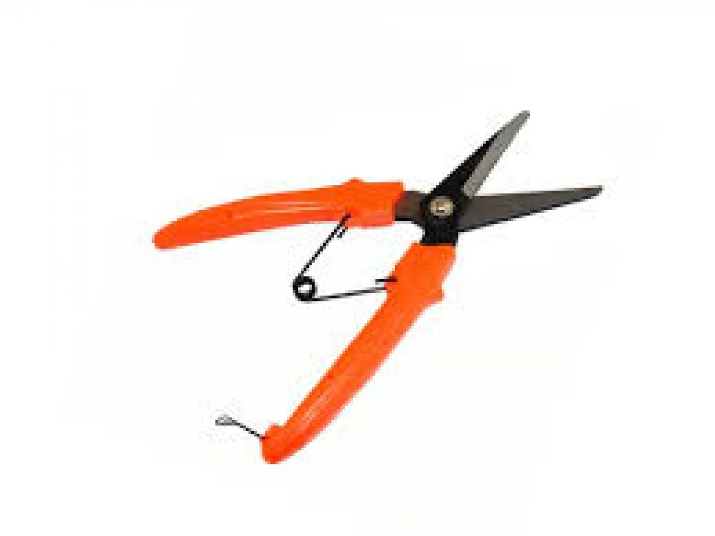 Φωτογραφία