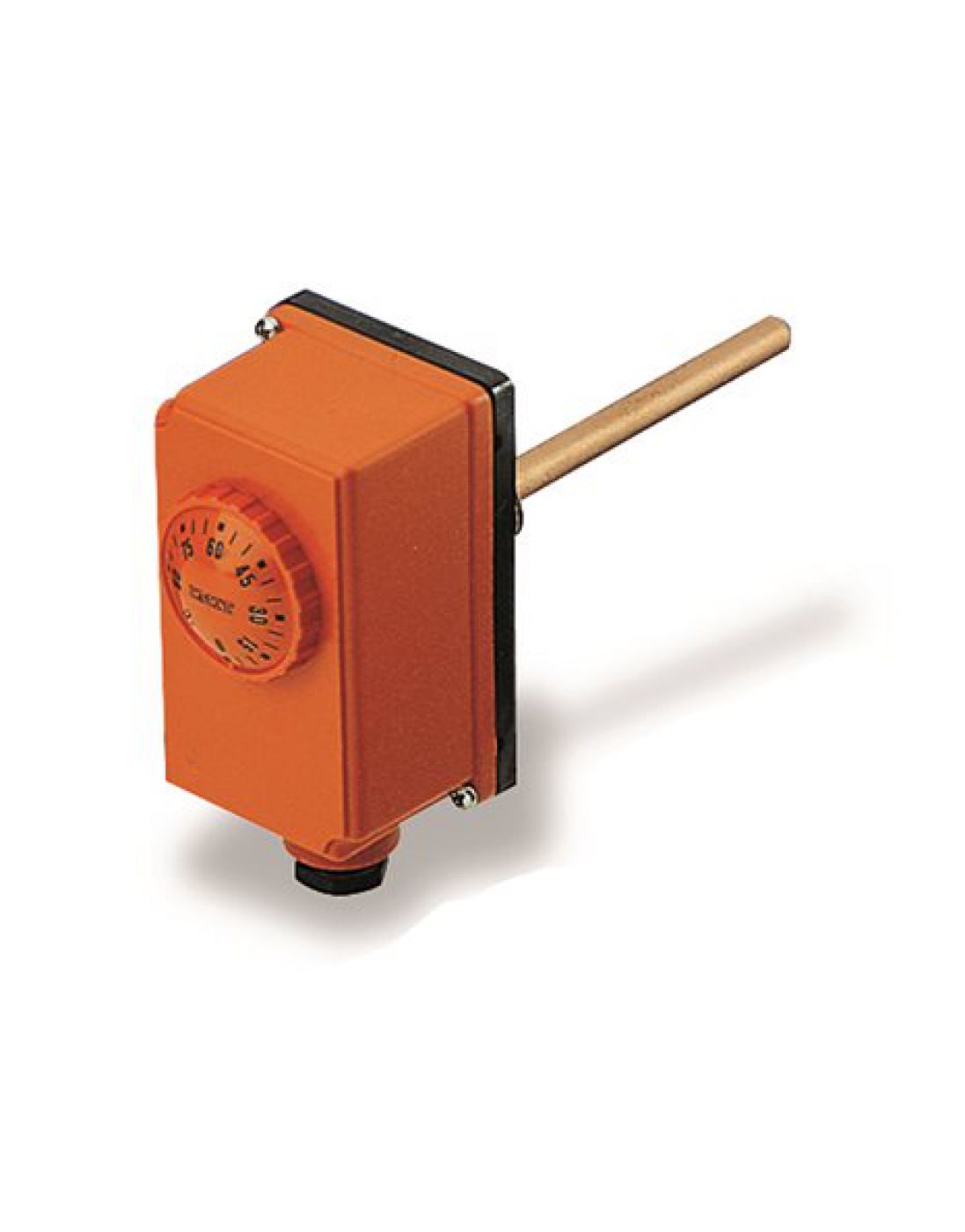 Φωτογραφία