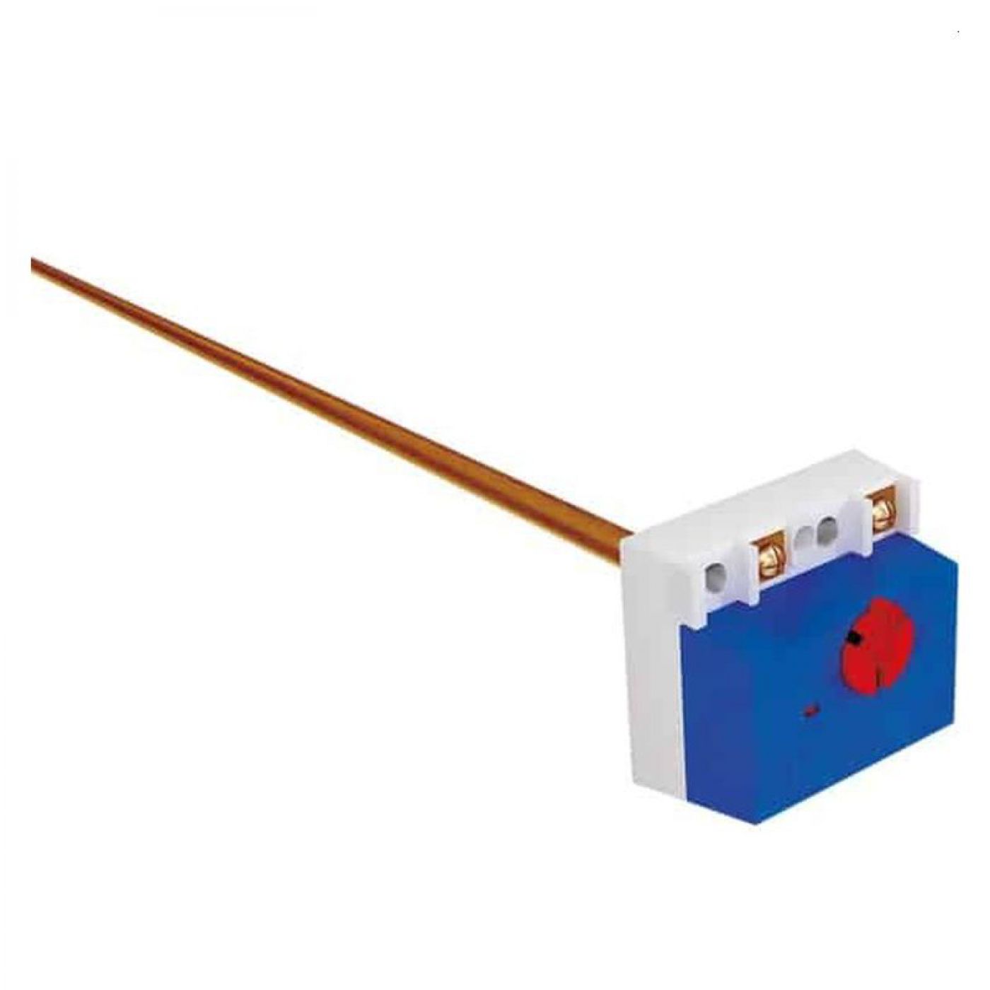 Φωτογραφία