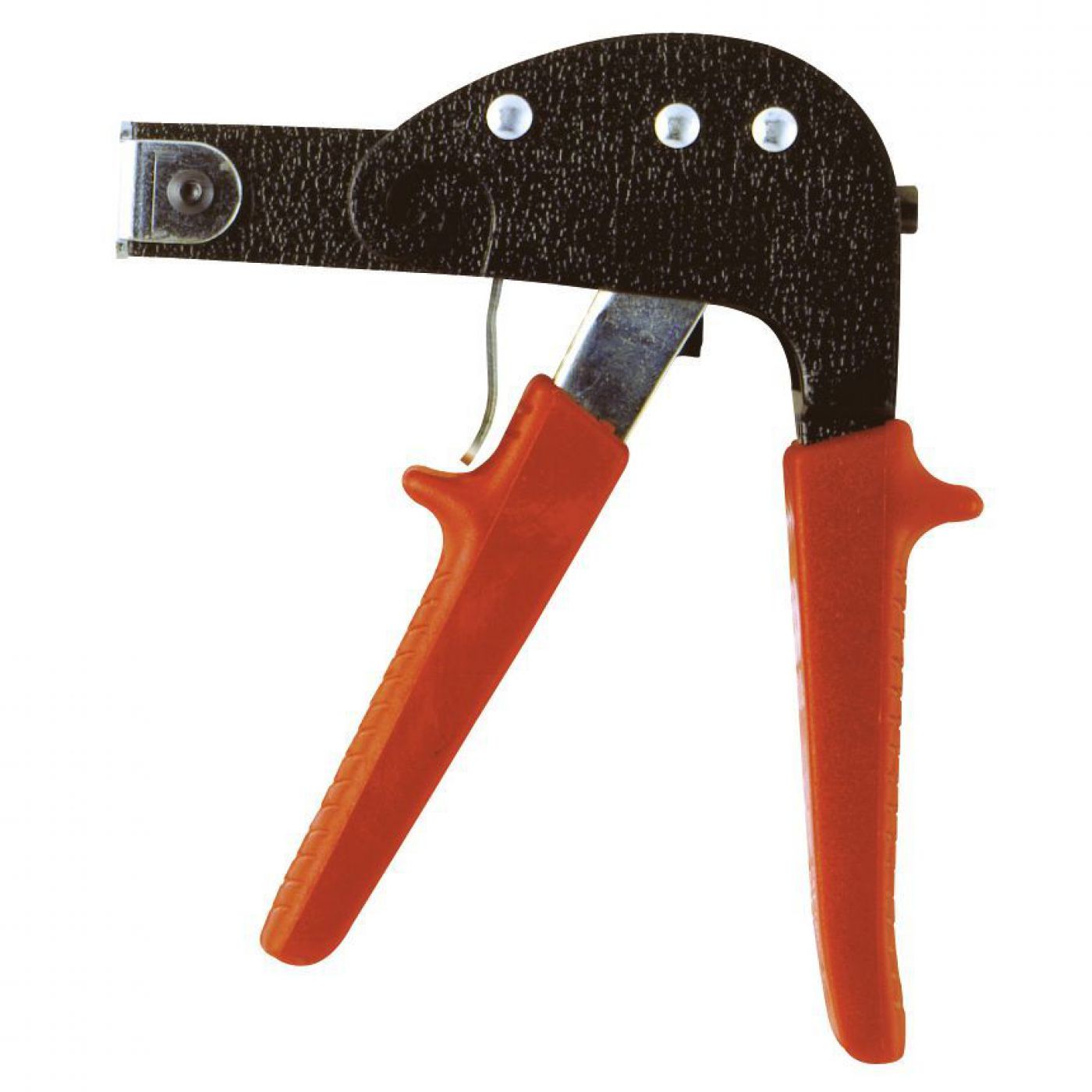 Φωτογραφία