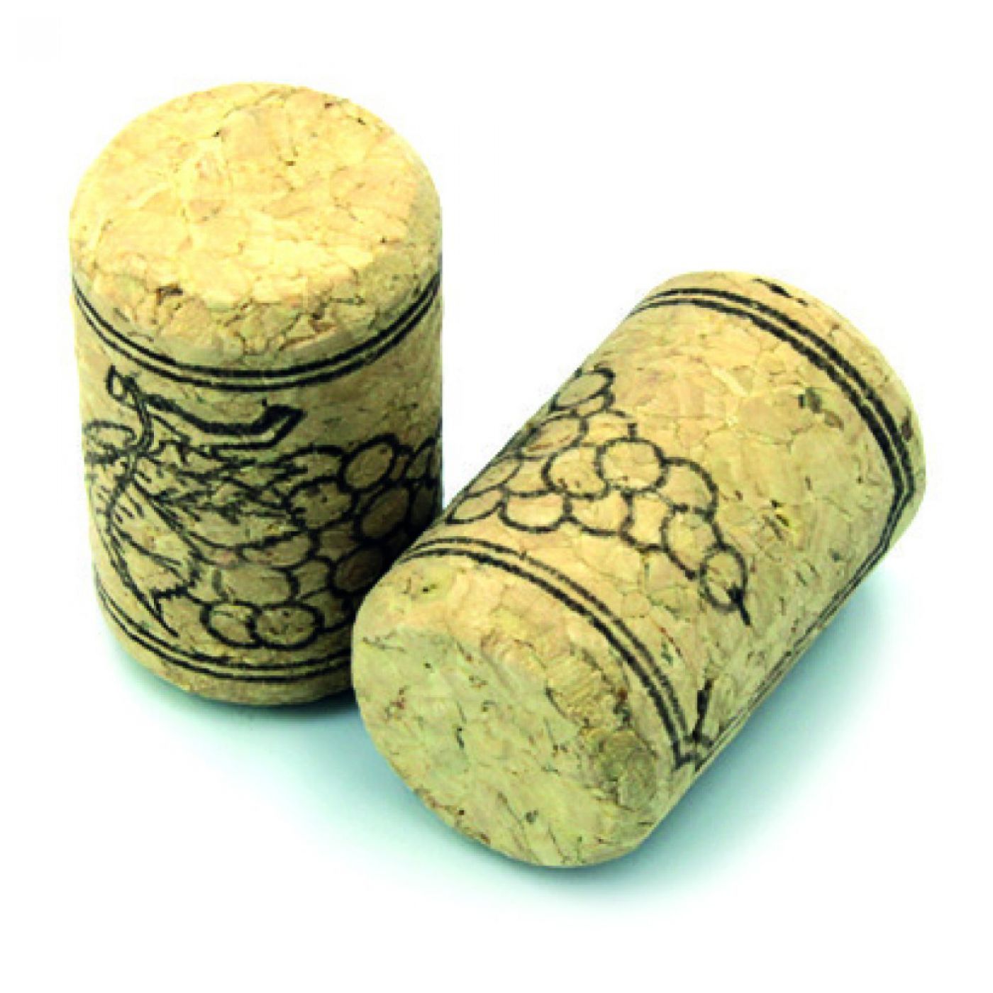 Φωτογραφία