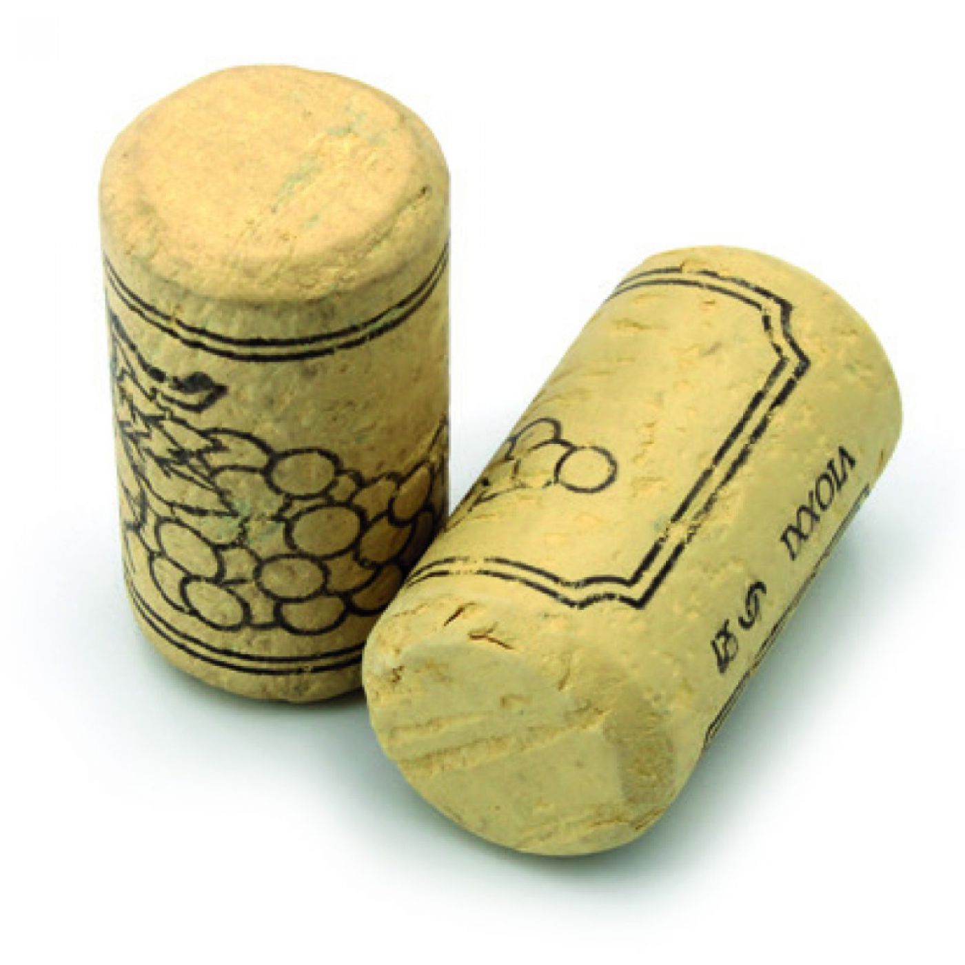 Φωτογραφία