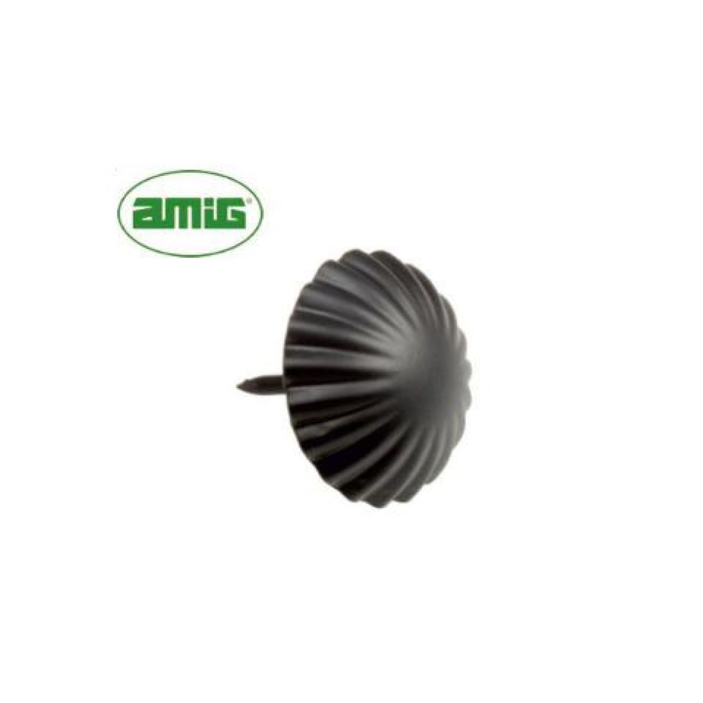 Φωτογραφία