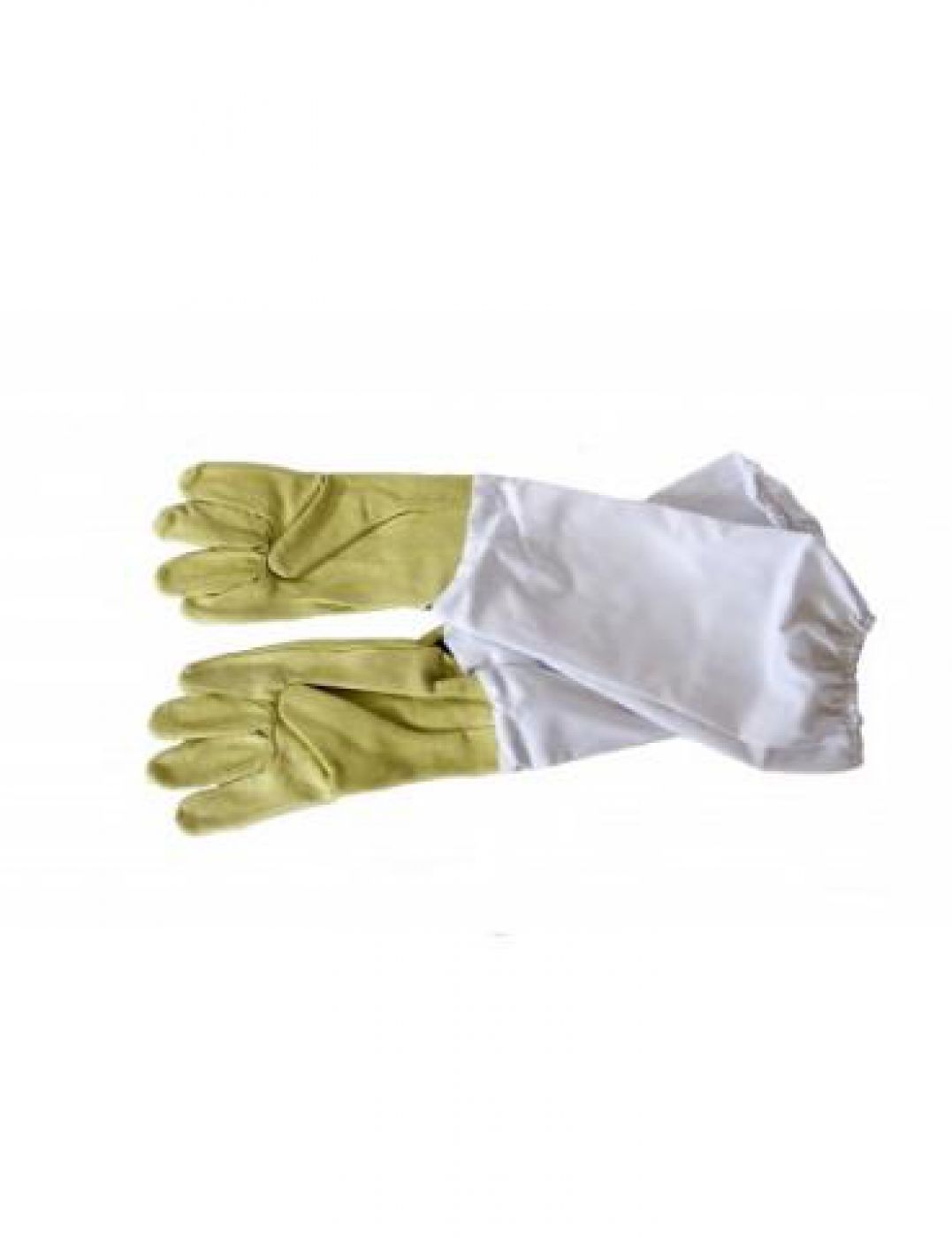 Φωτογραφία