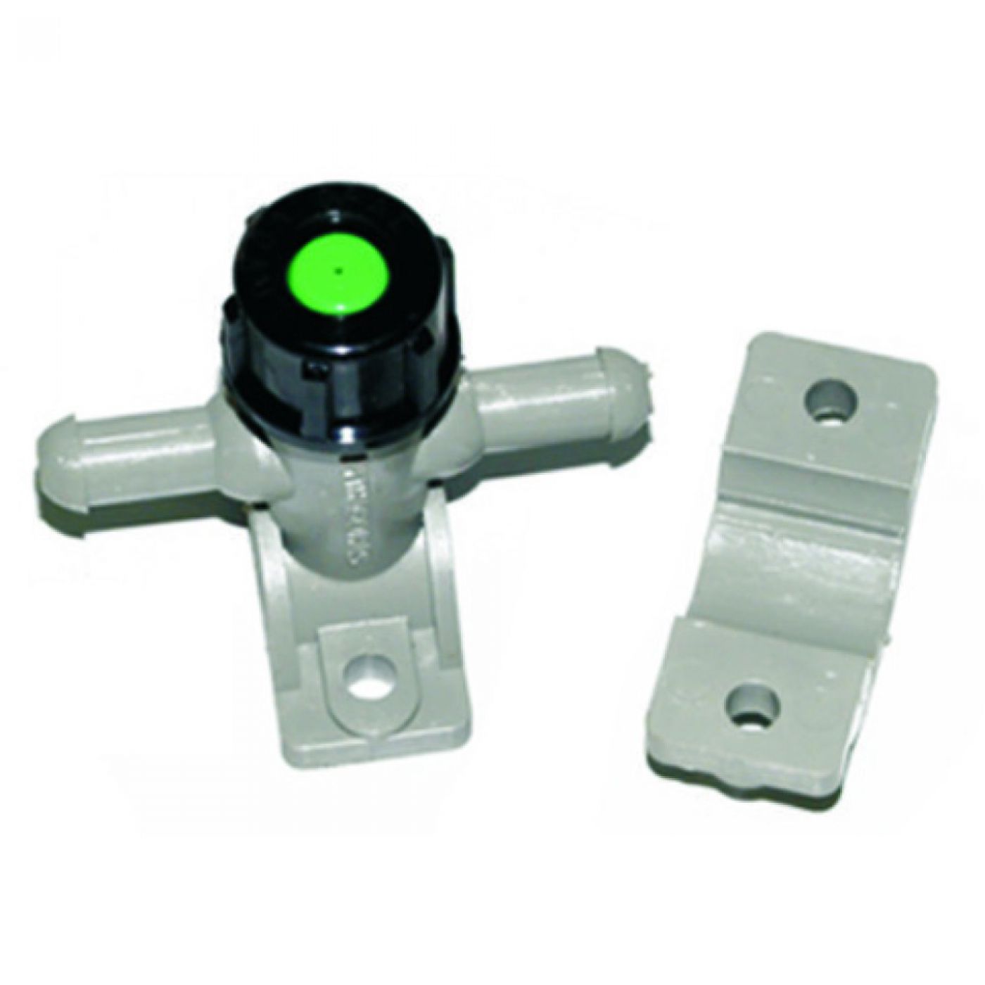 Φωτογραφία