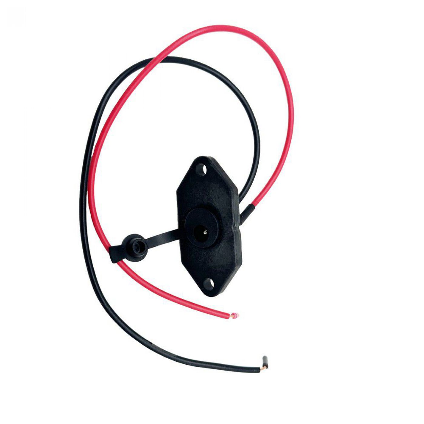 Φωτογραφία