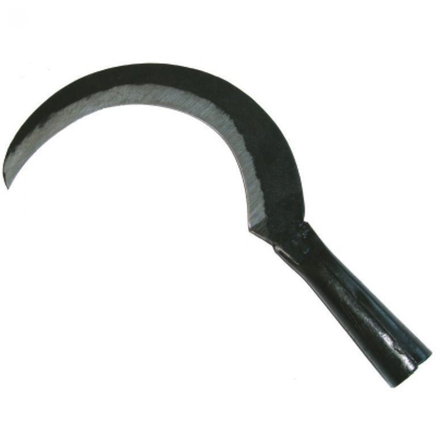 Φωτογραφία