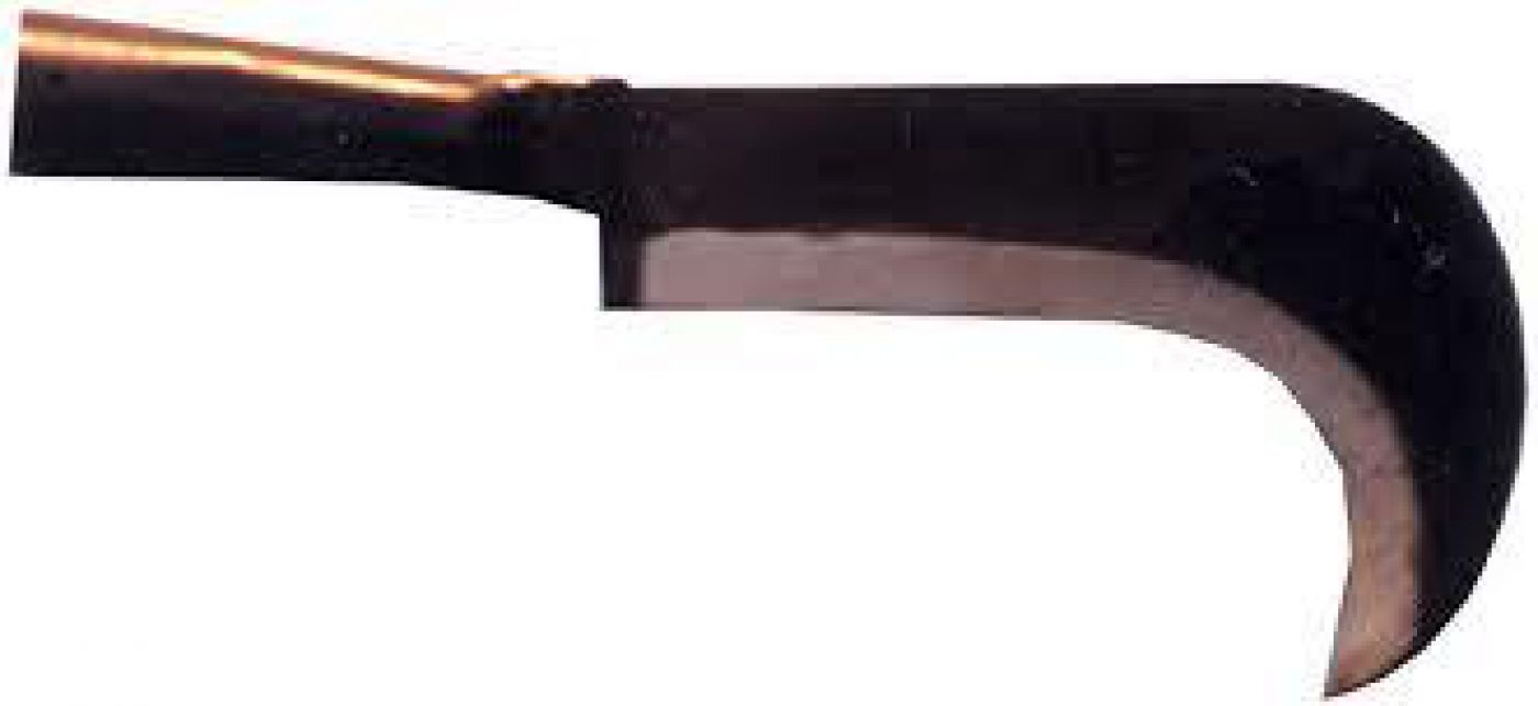 Φωτογραφία