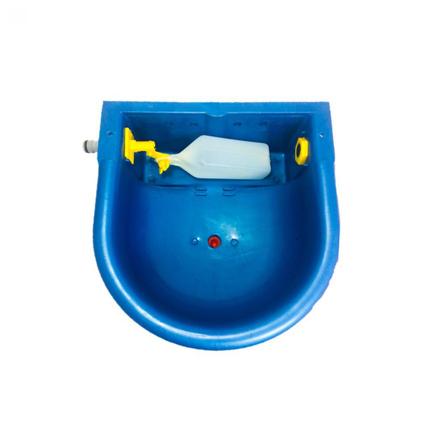 Φωτογραφία