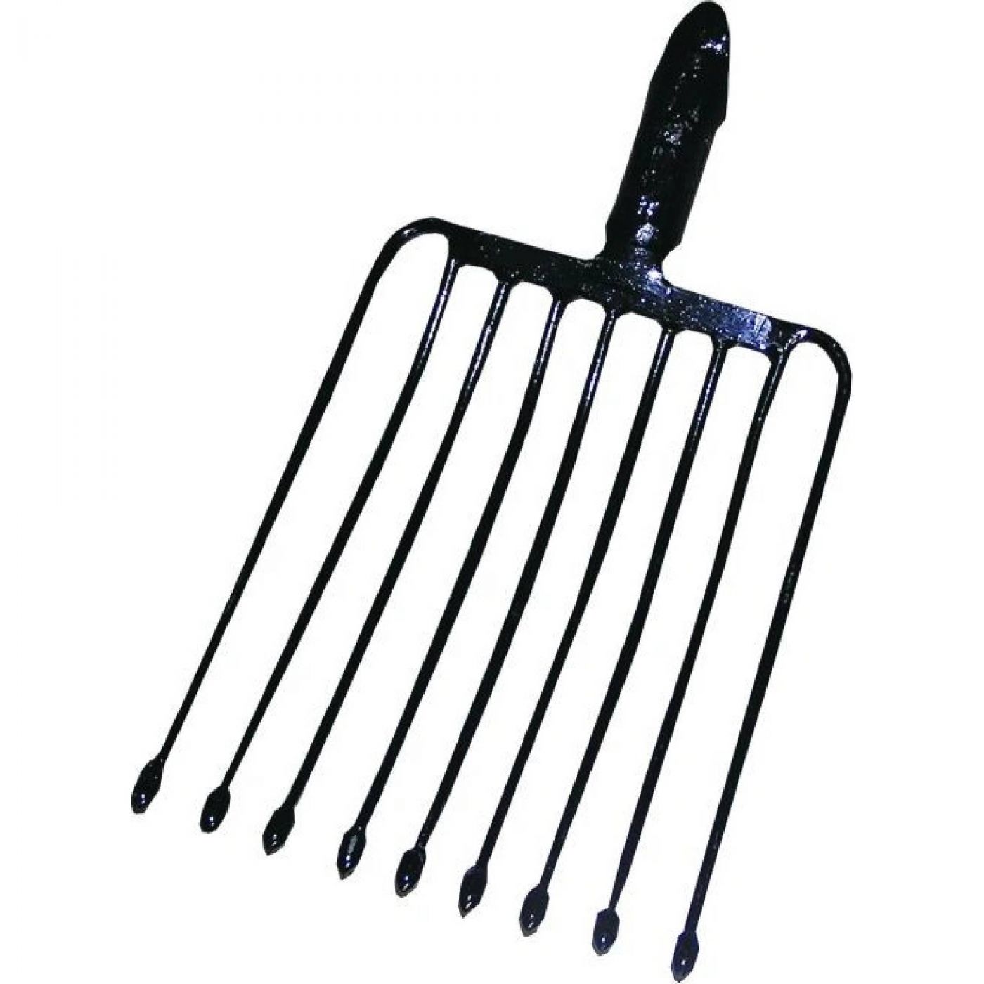 Φωτογραφία