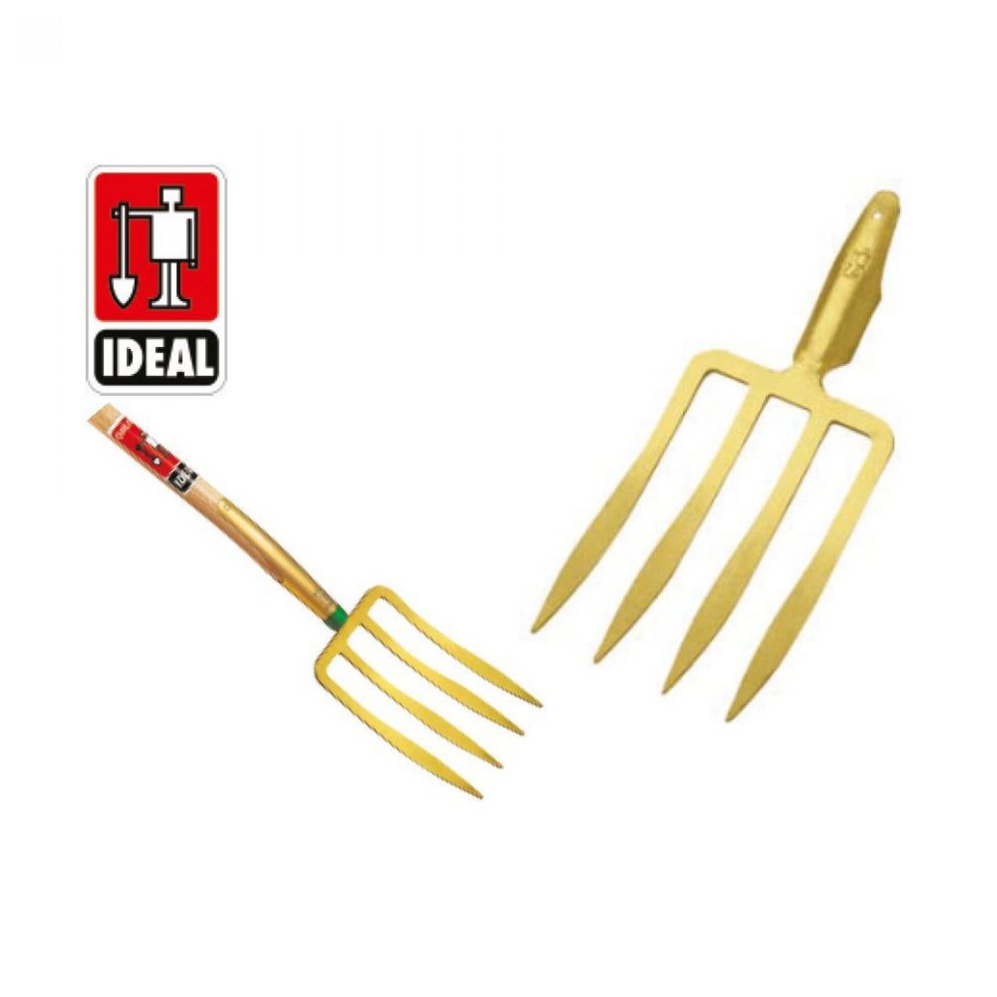 Φωτογραφία