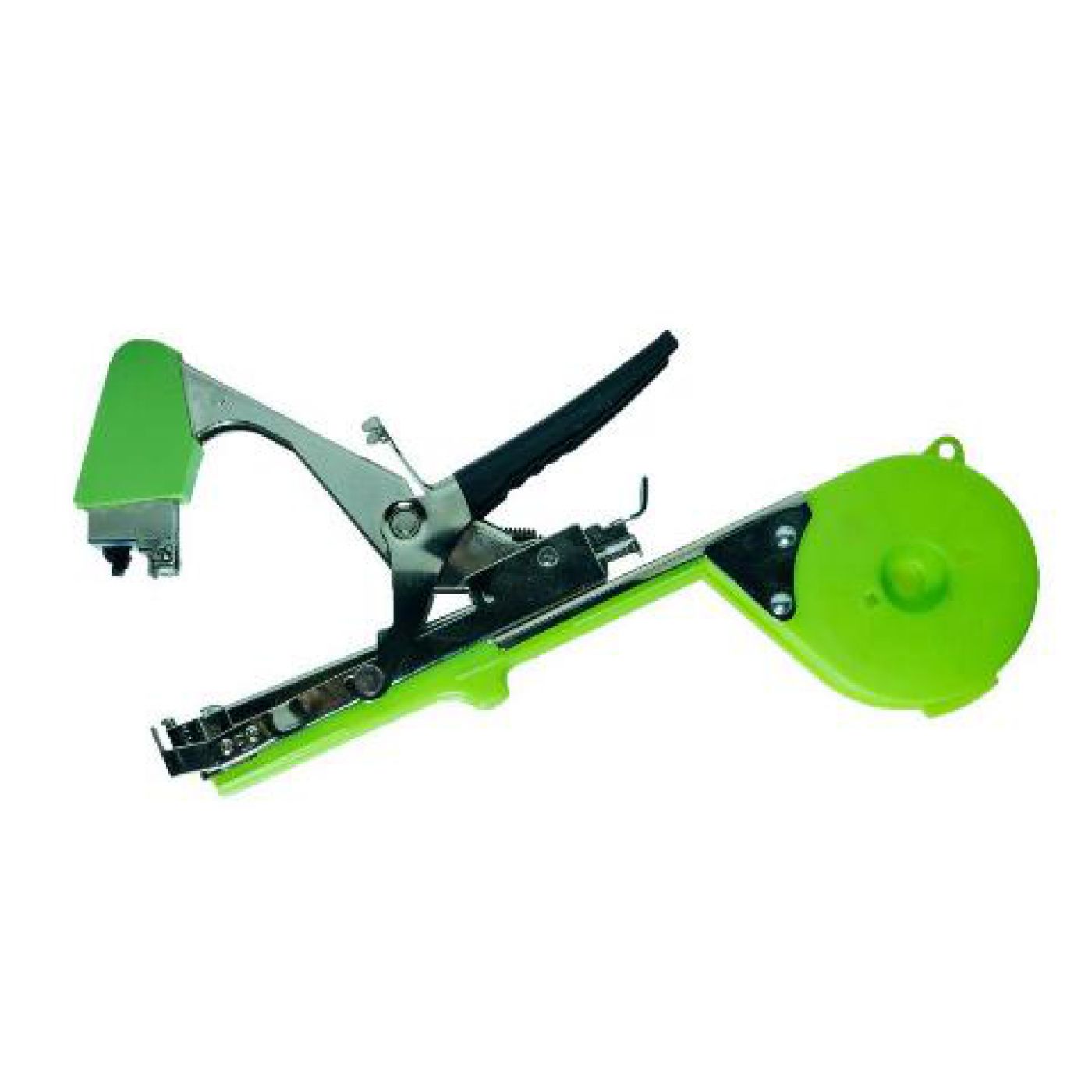 Φωτογραφία