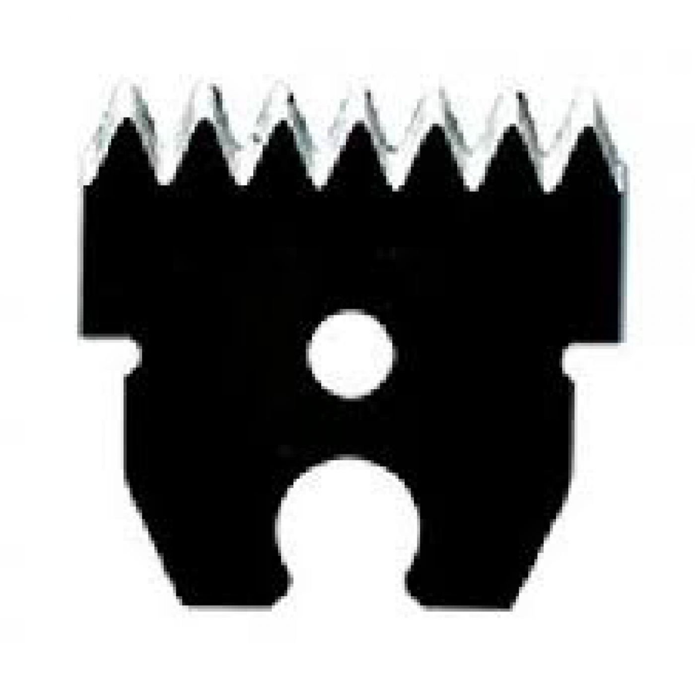 Φωτογραφία