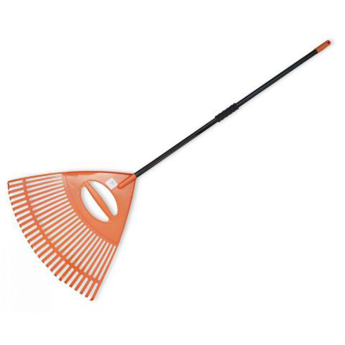 Φωτογραφία