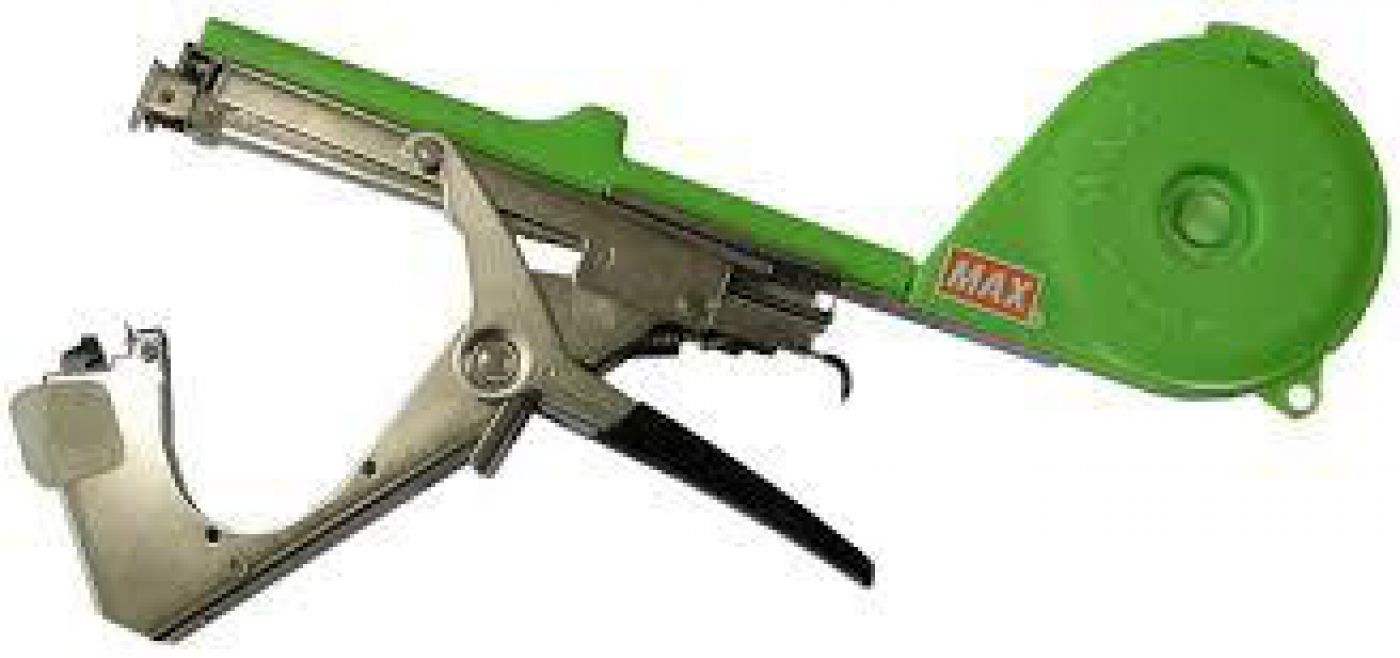 Φωτογραφία