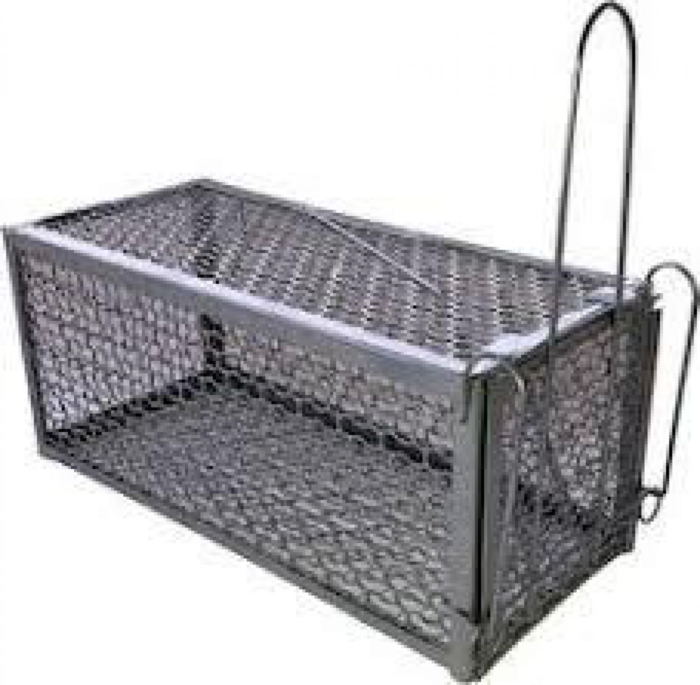 Φωτογραφία