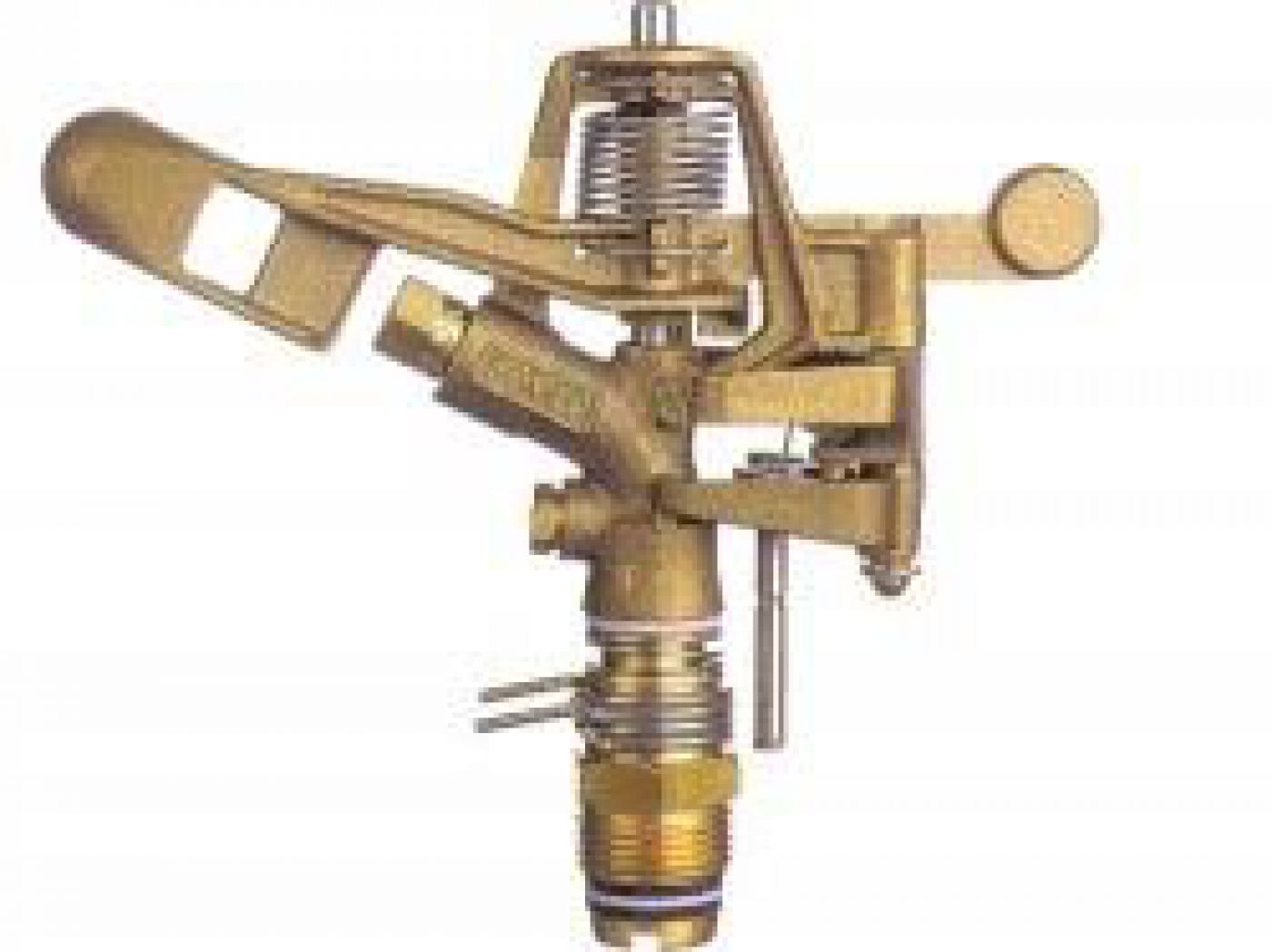 Φωτογραφία